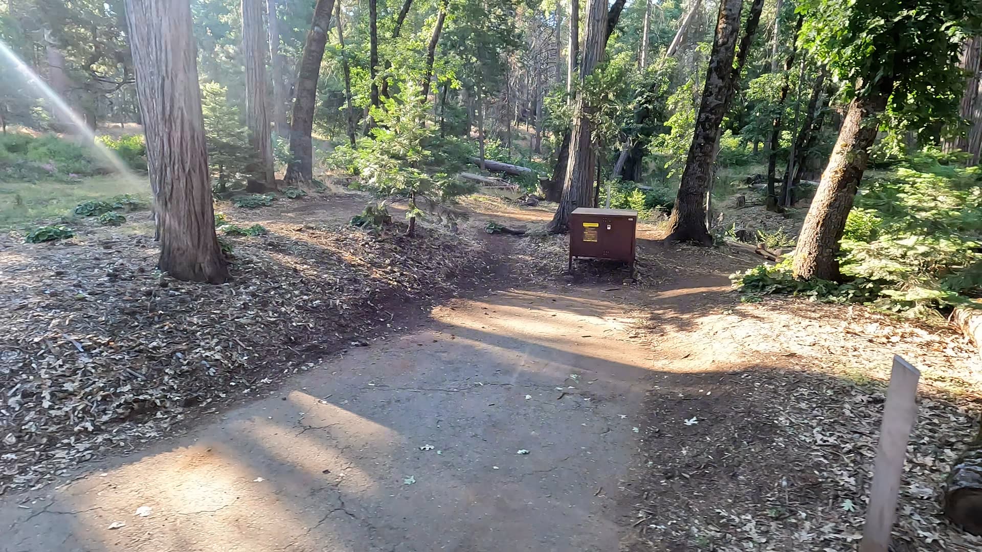 Site 10