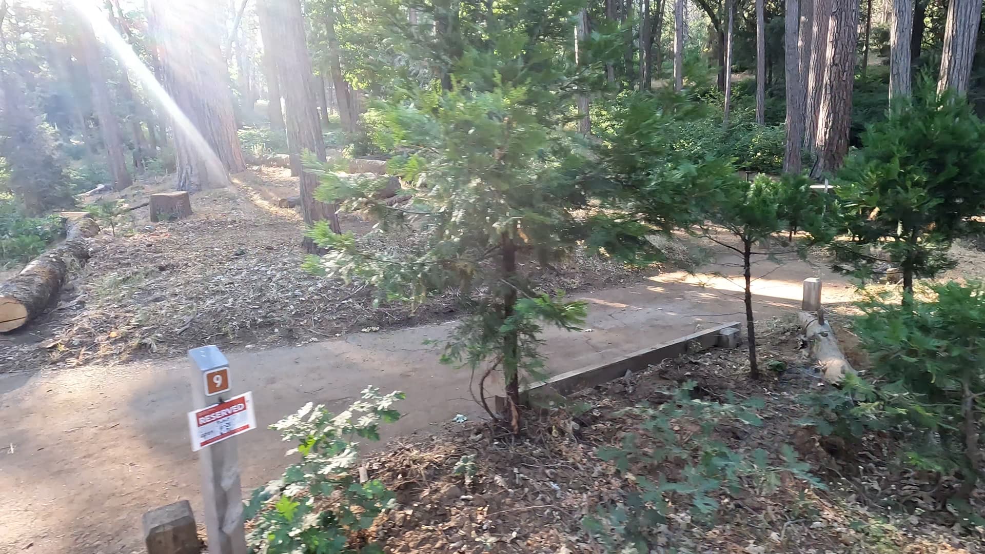 Site 9