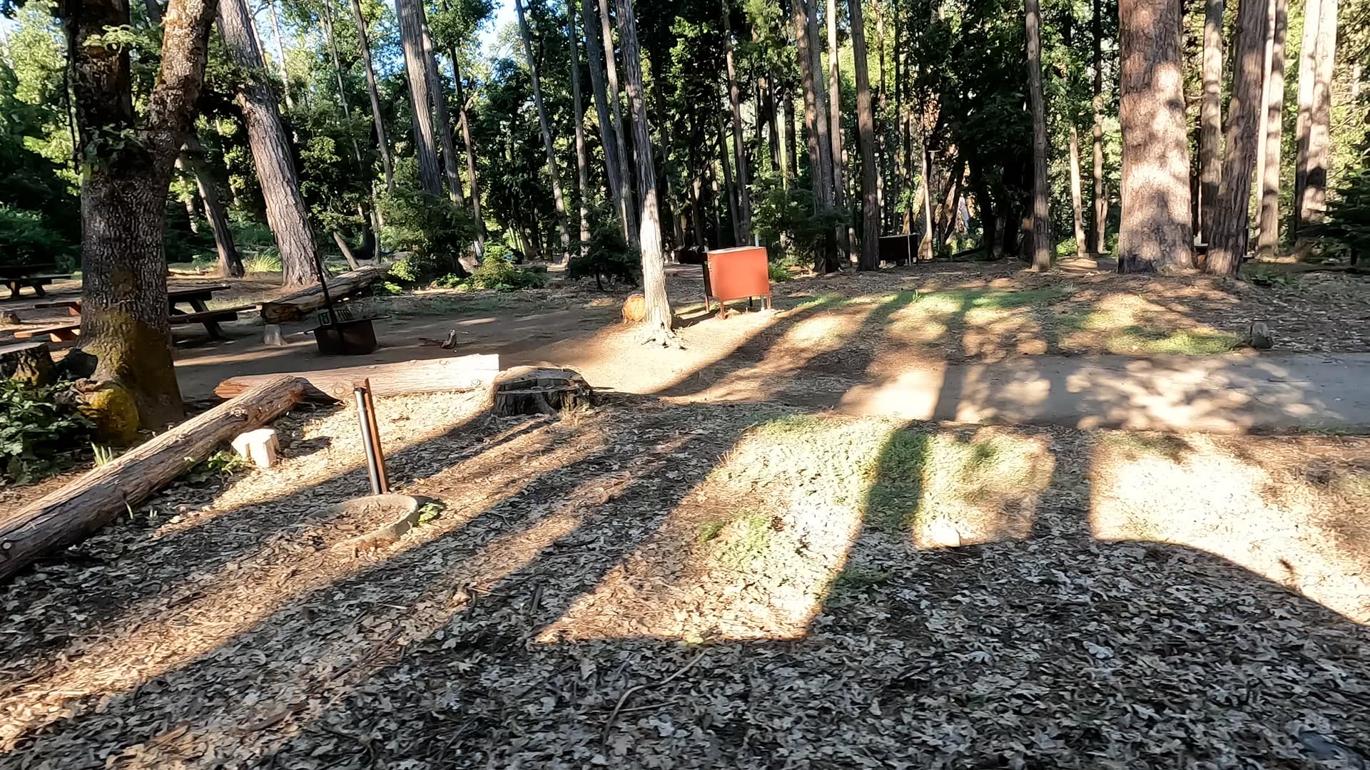 Site 19