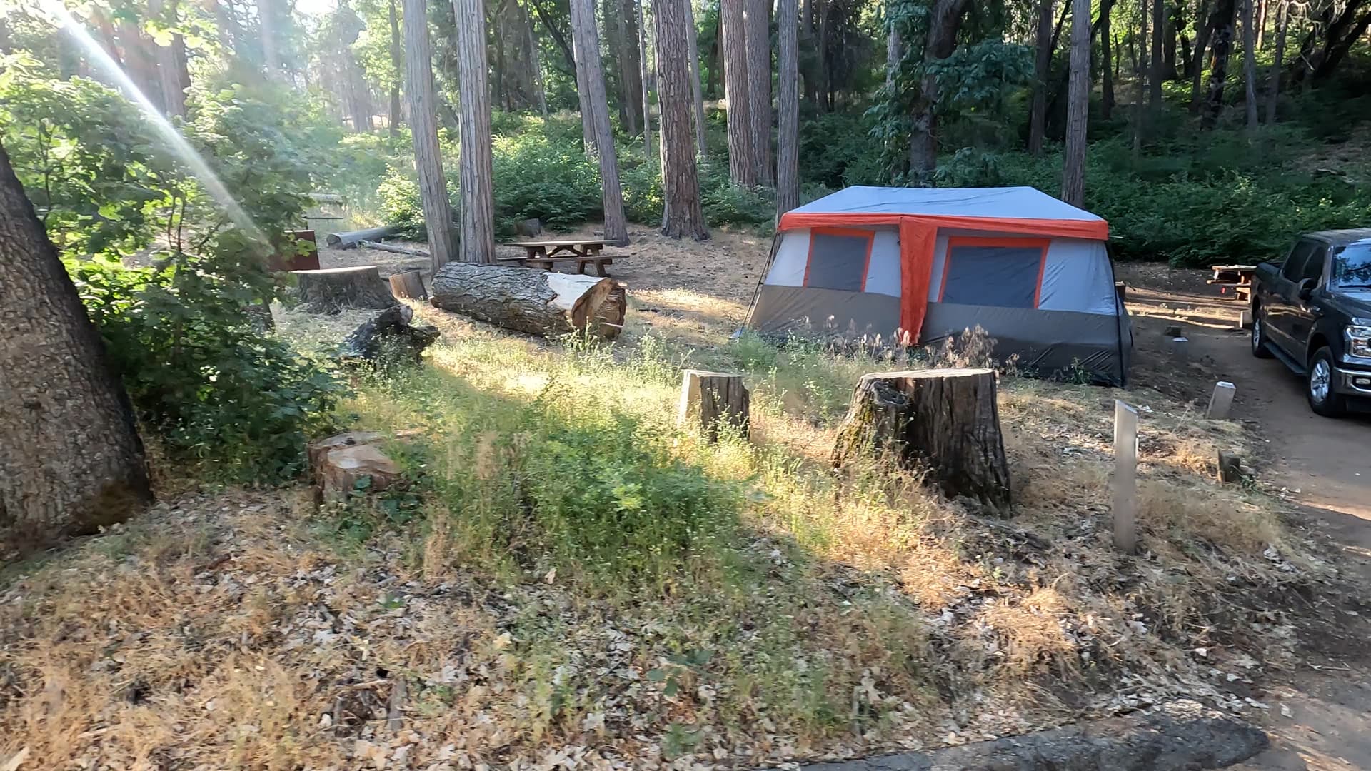 Site 7