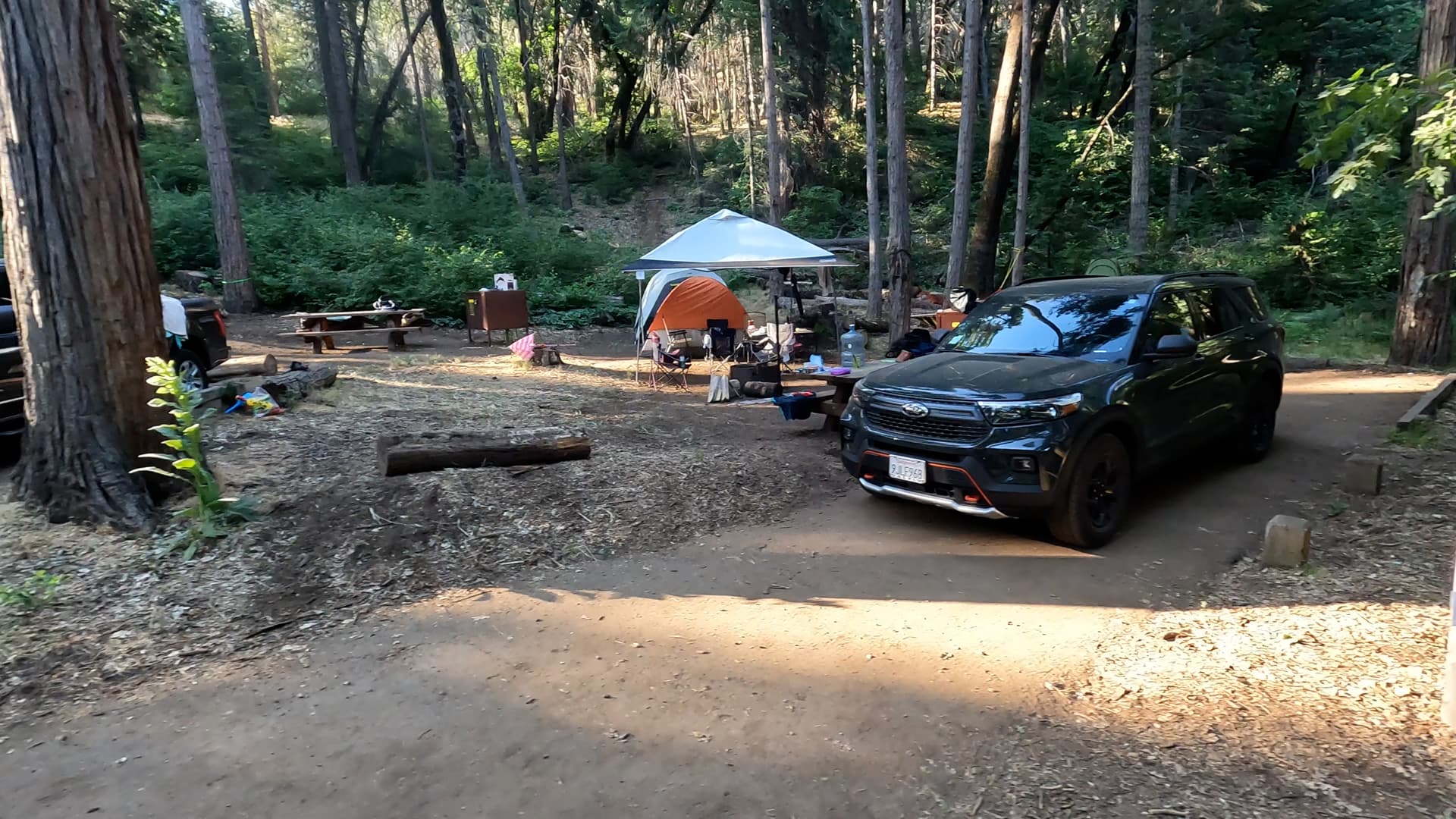 Site 6