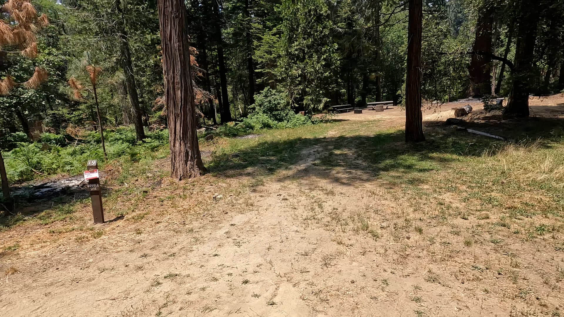 Site 19