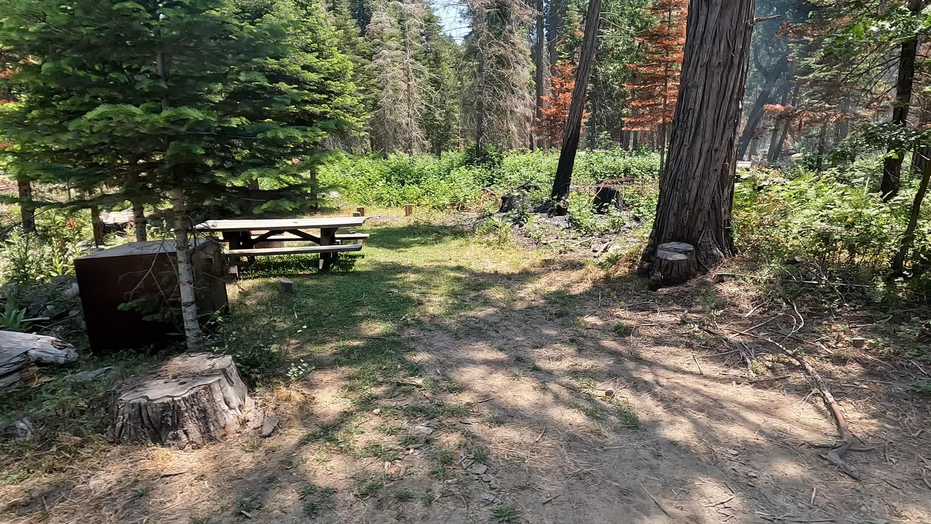 Site 17