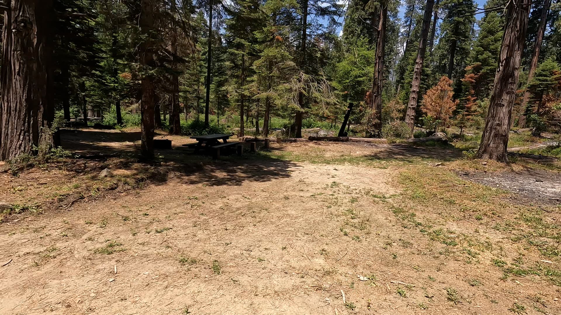 Site 6
