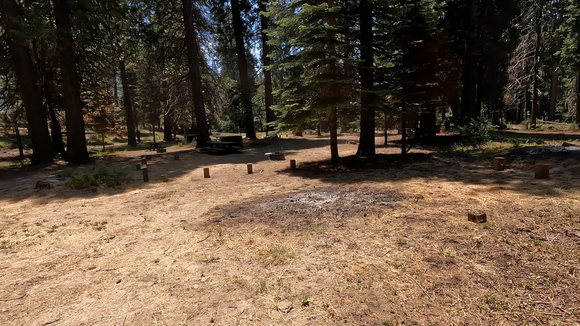 Site 9