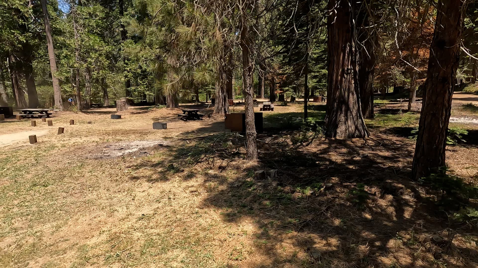 Site 15