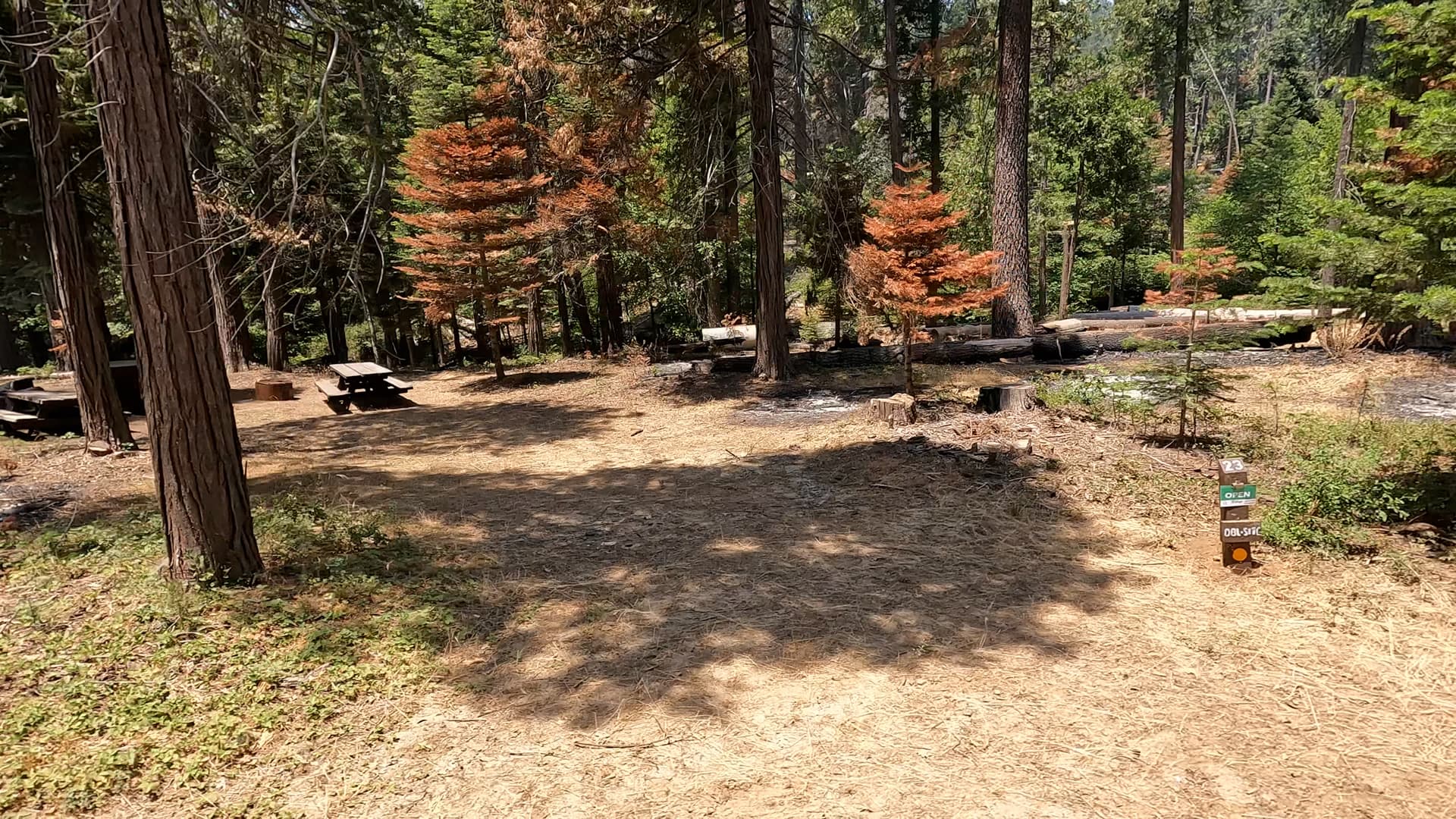 Site 23