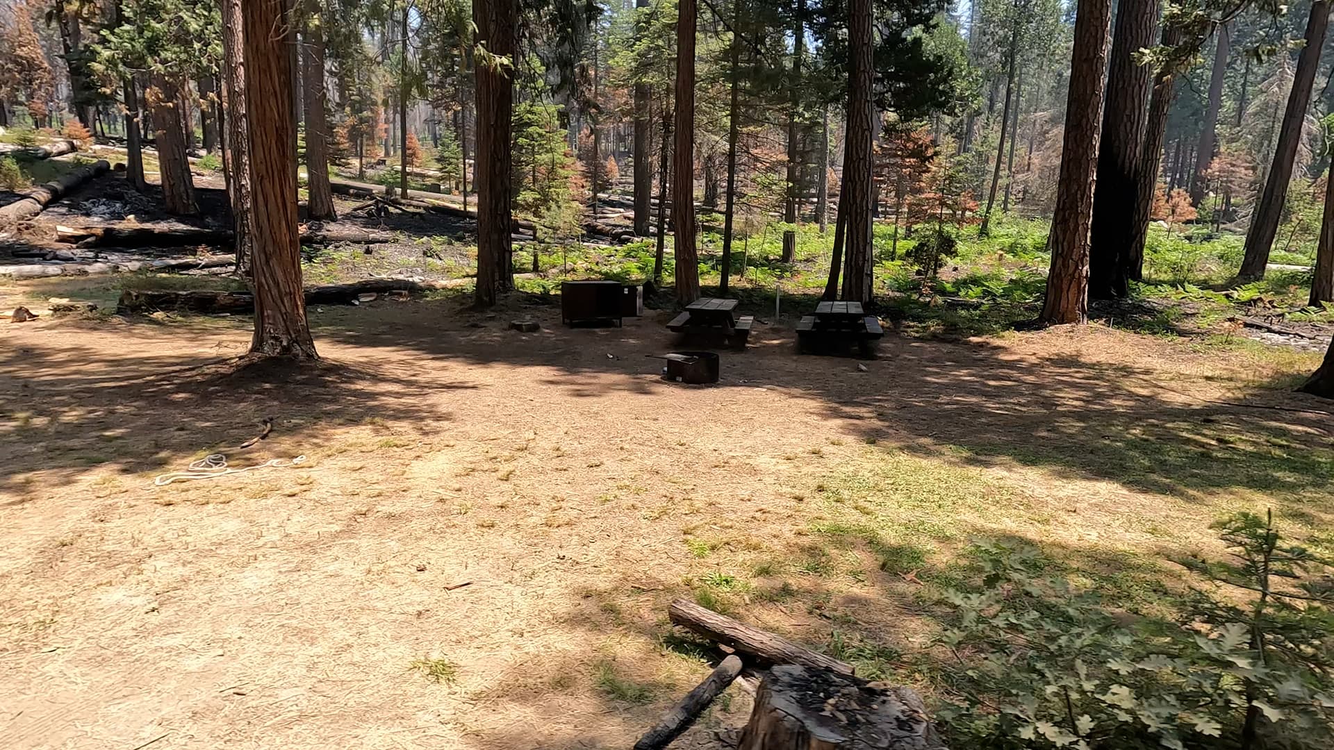 Site 21