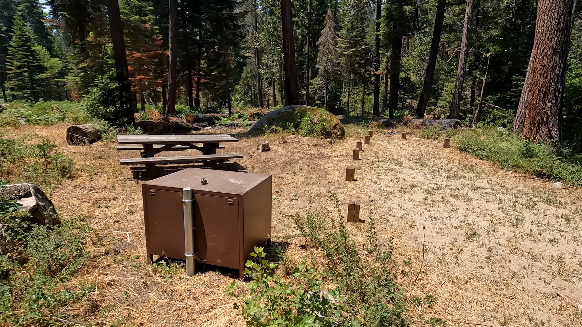 Site 4
