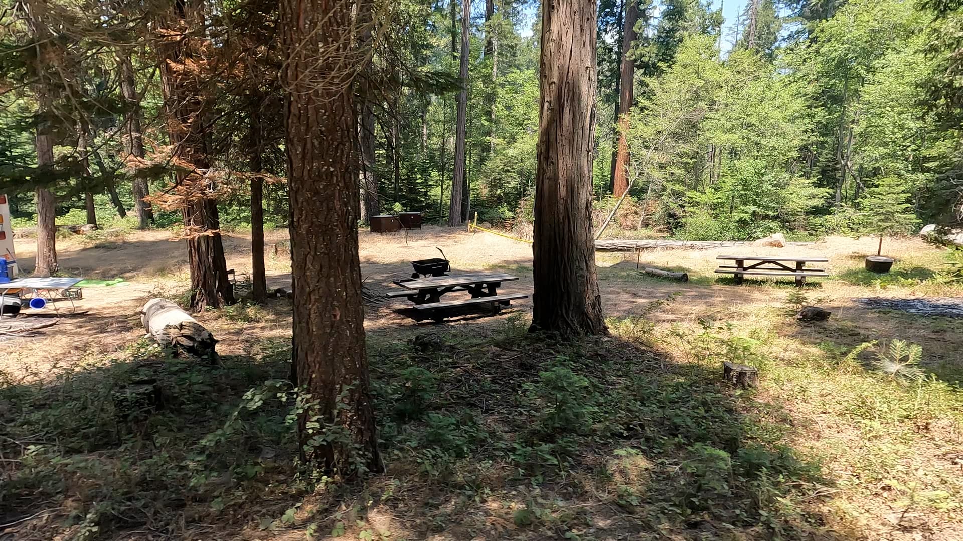 Site 18