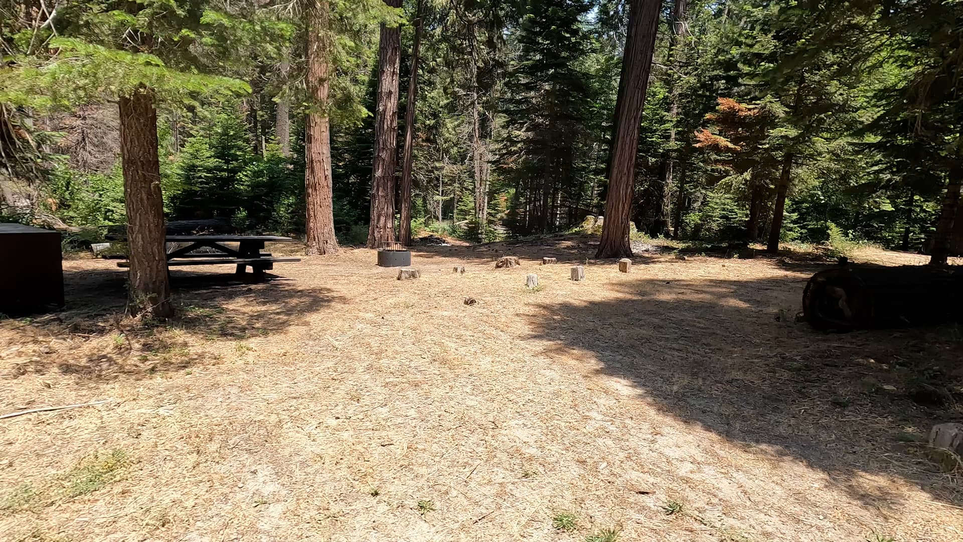Site 2