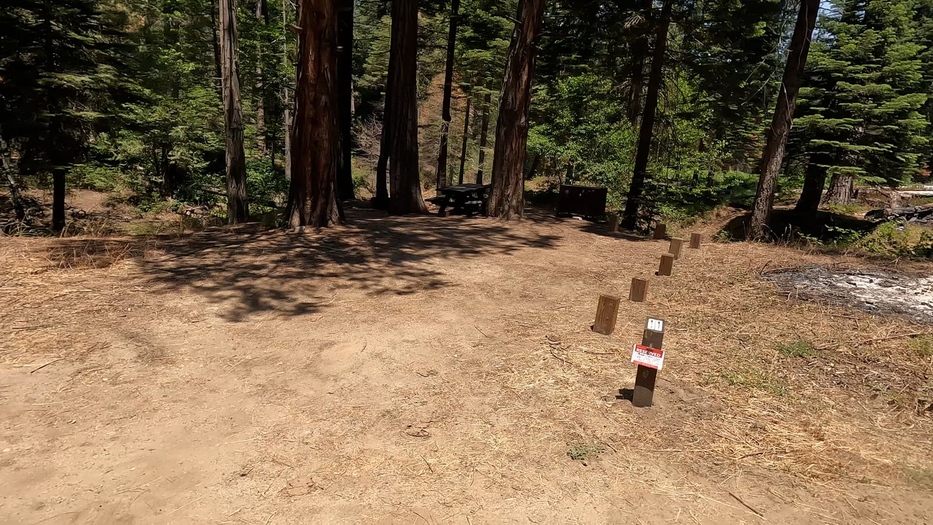 Site 11