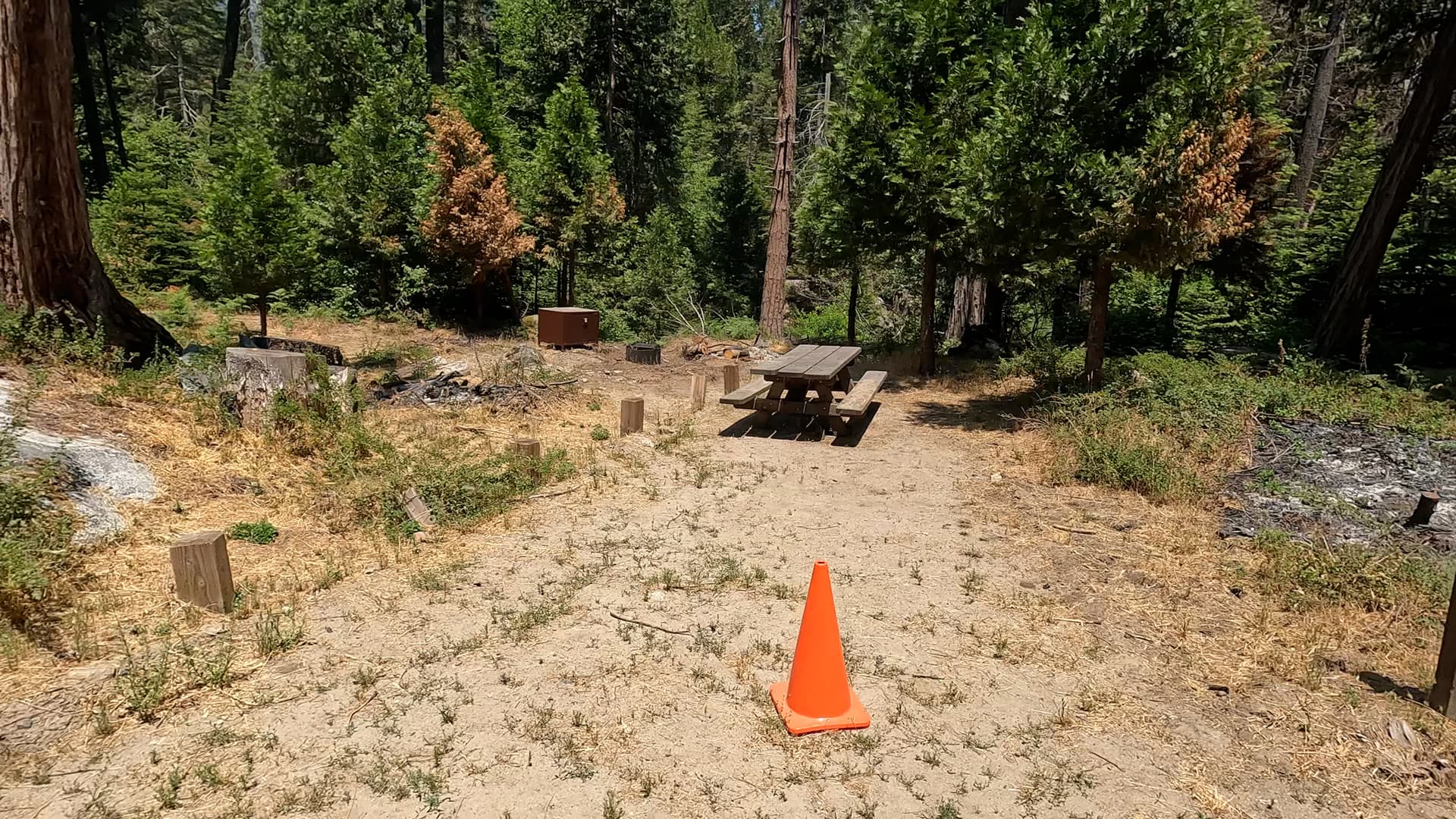 Site 3