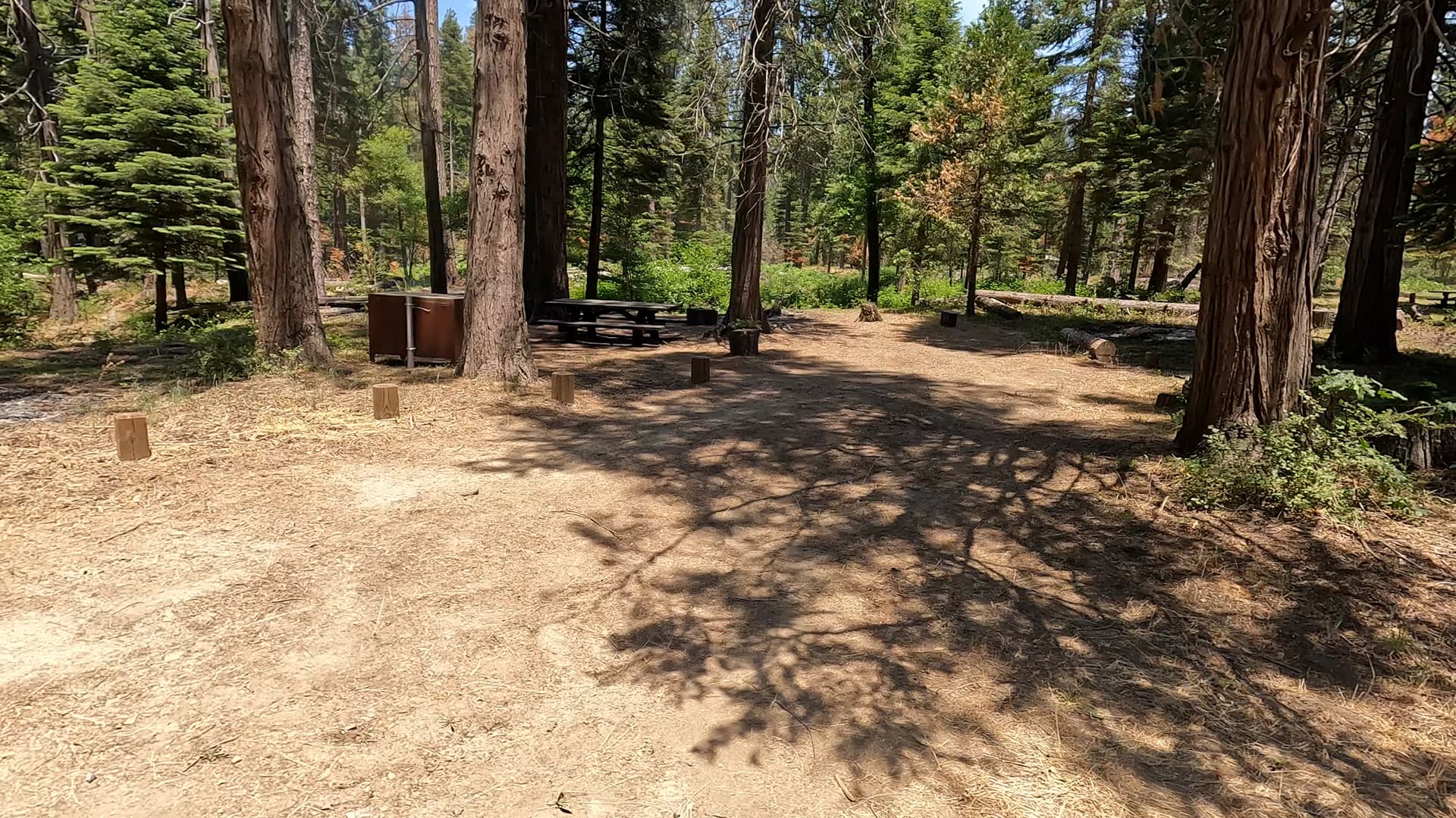 Site 10