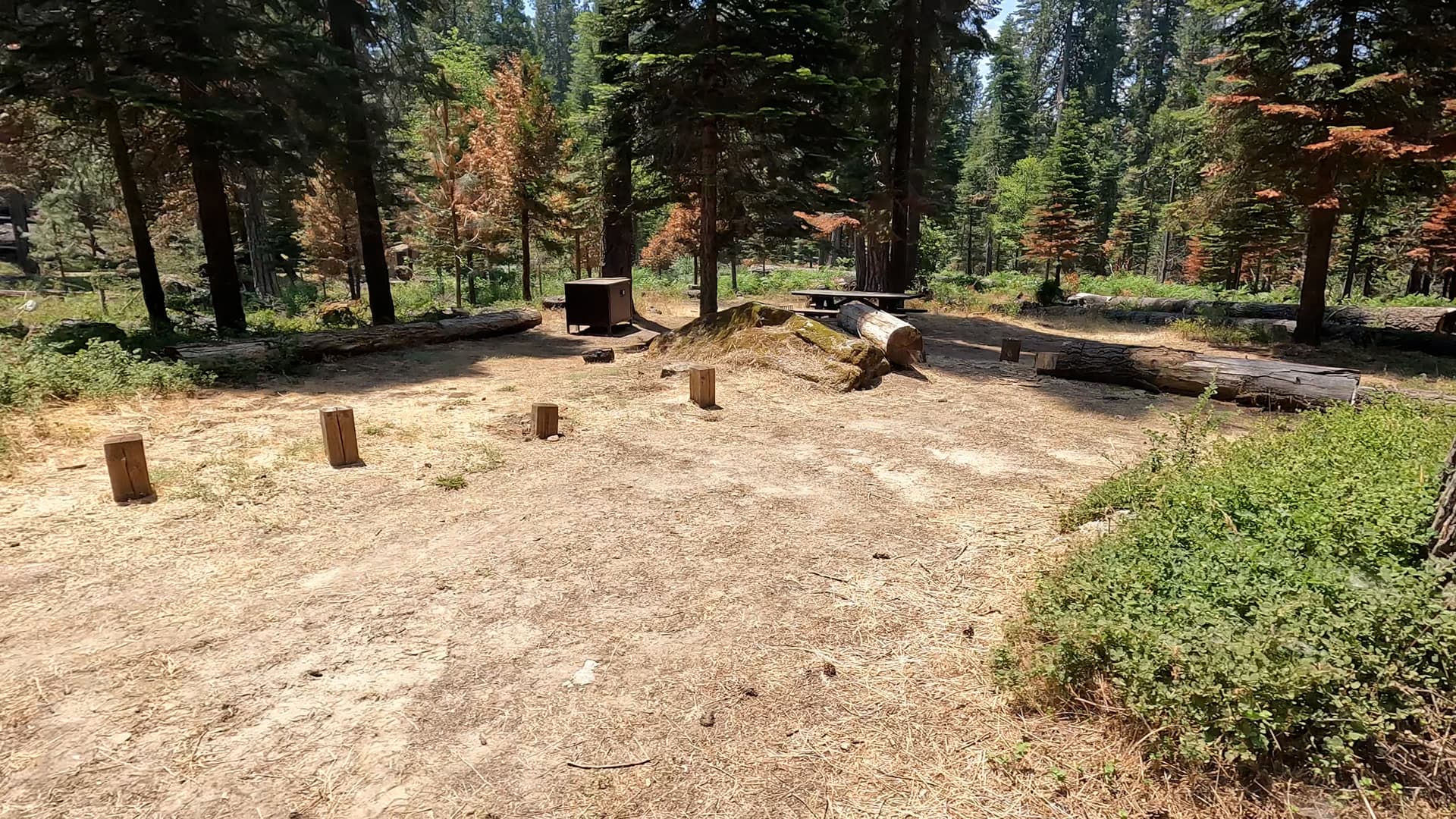 Site 5
