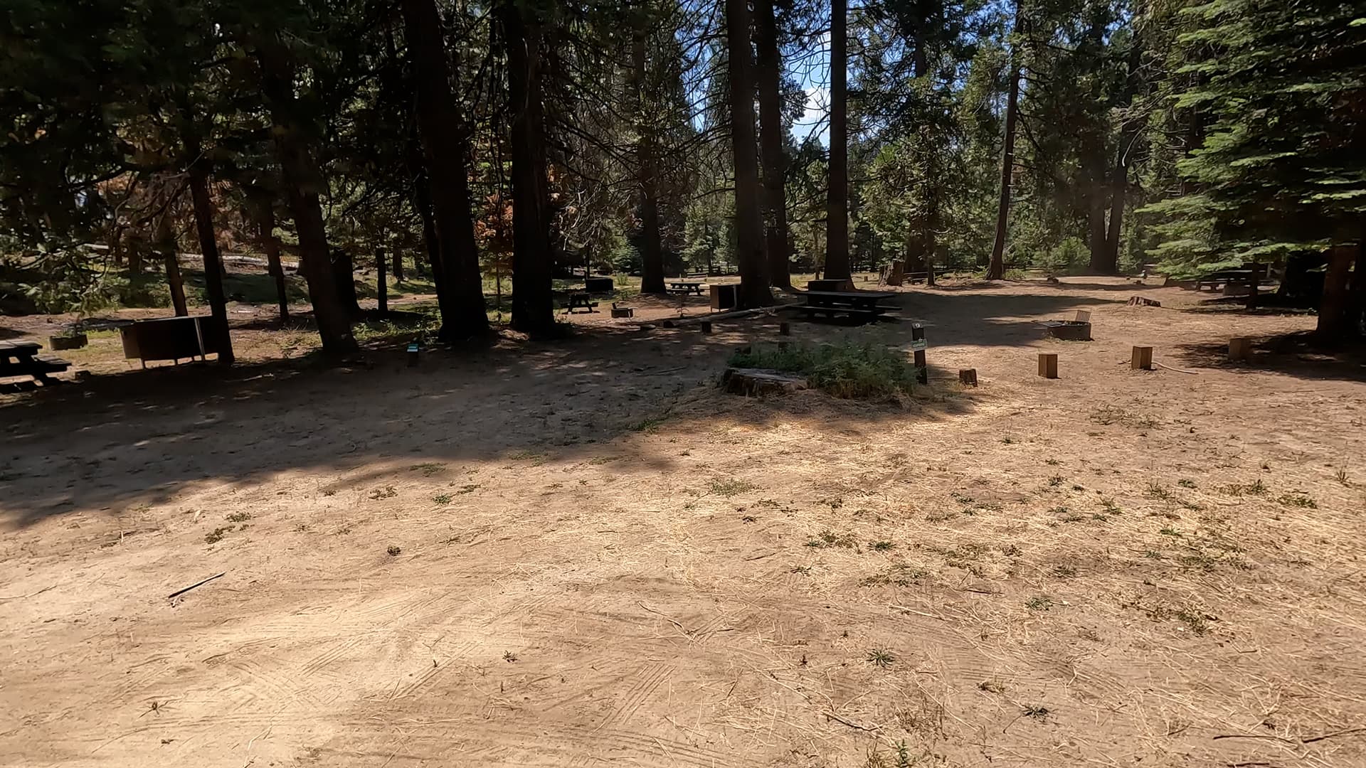 Site 8