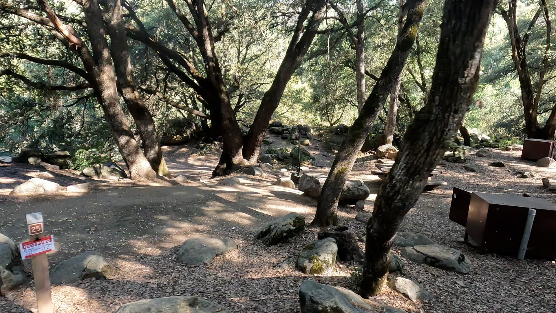 Site 25
