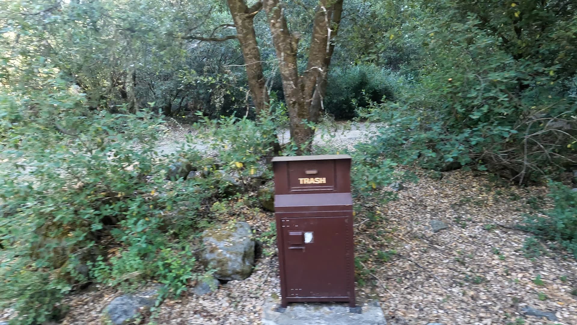 Site 19