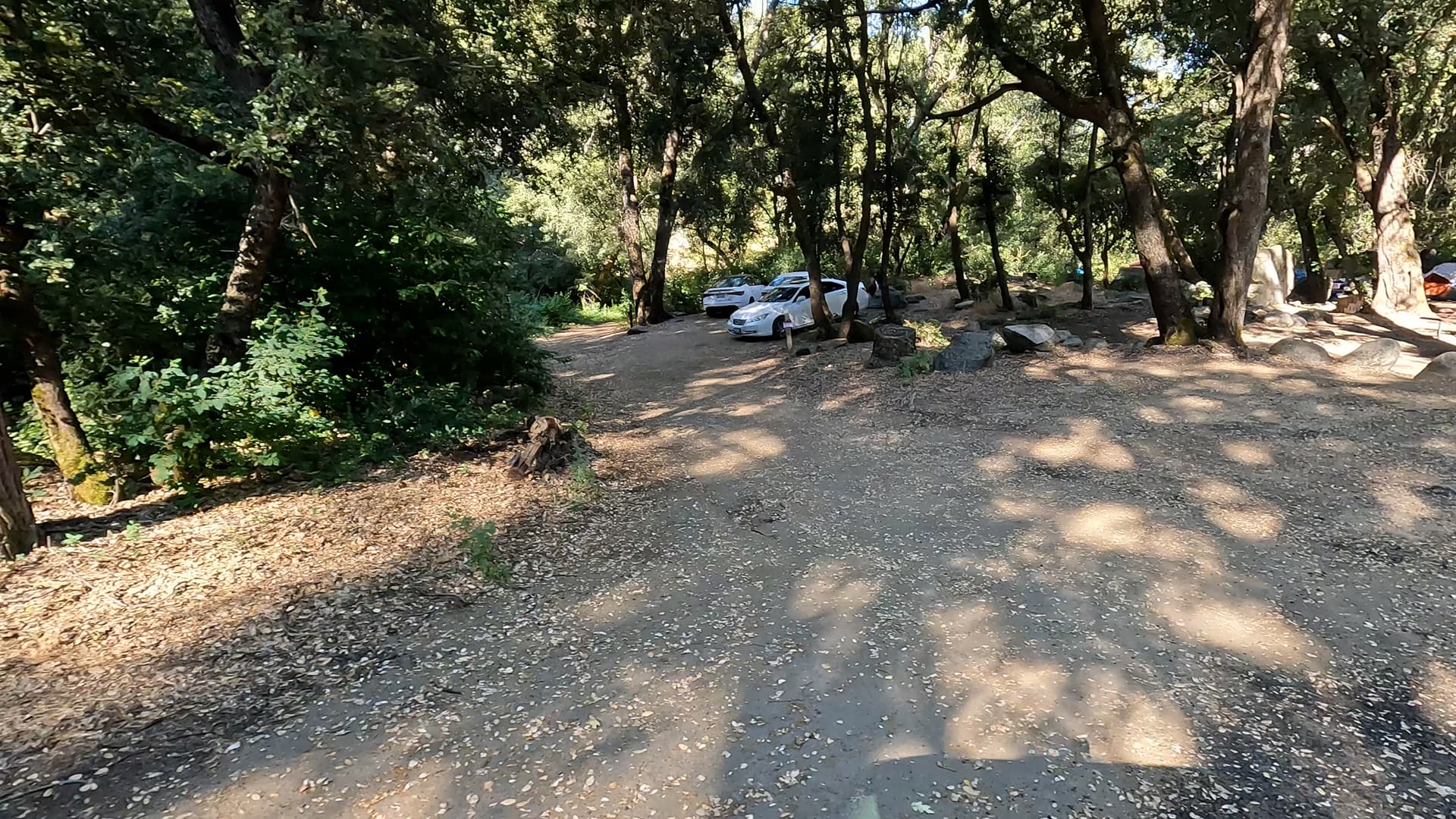 Site 36