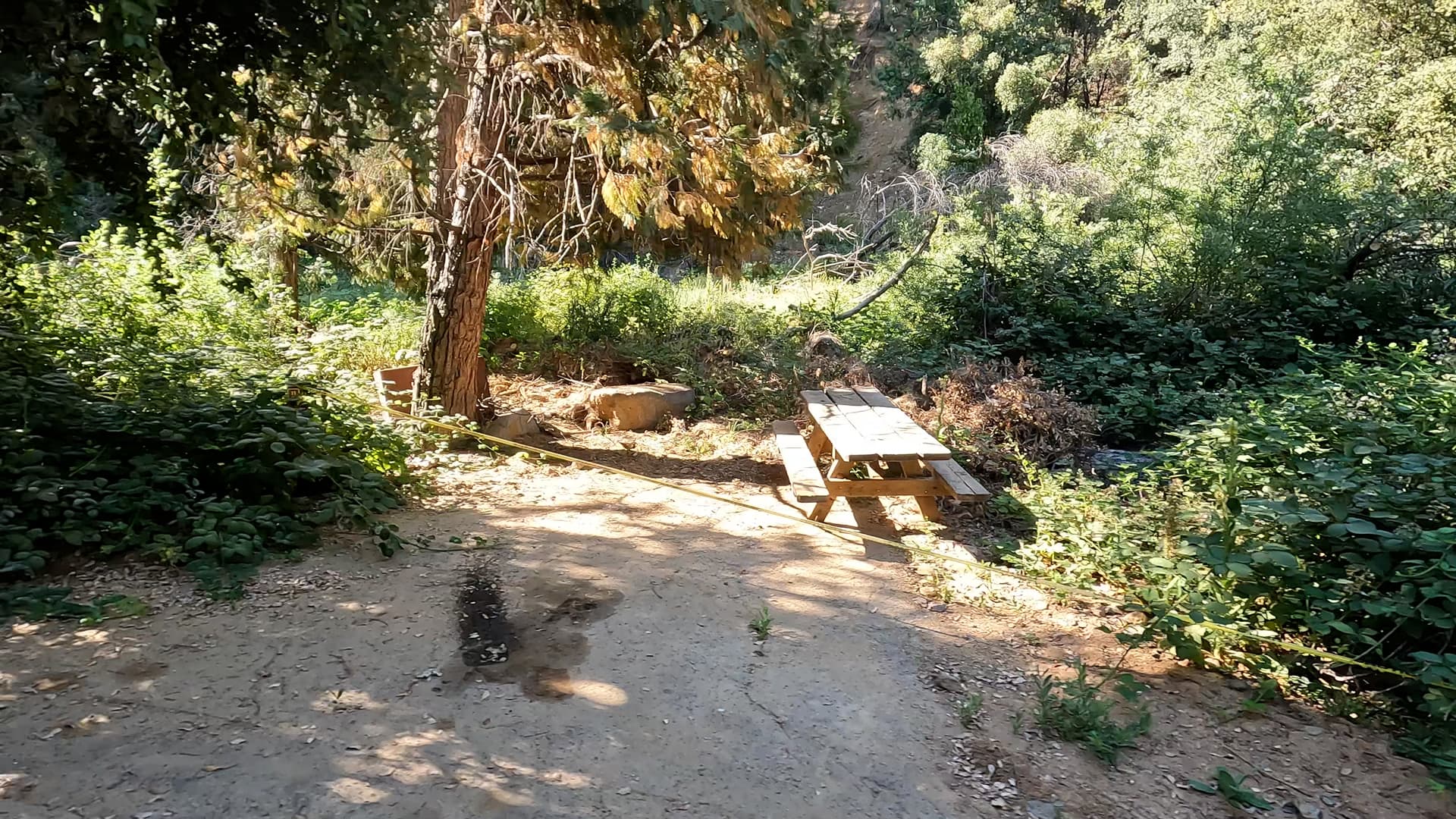 Site 11