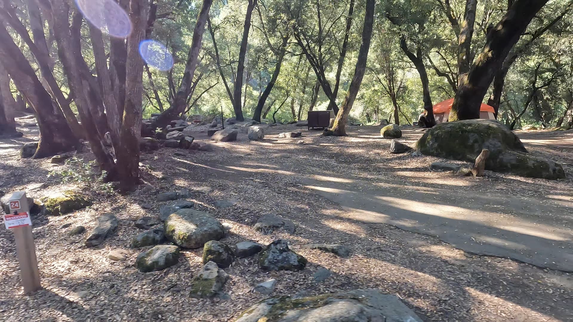 Site 24