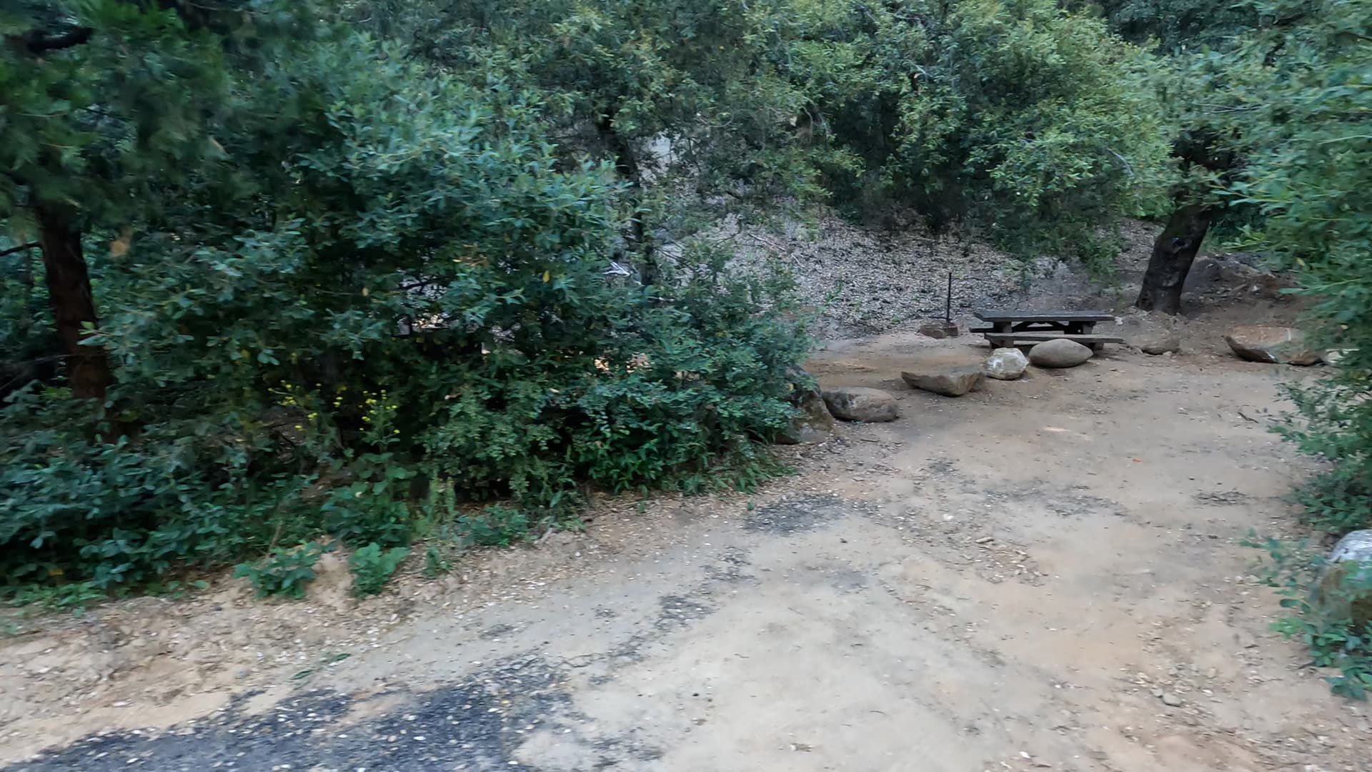 Site 14