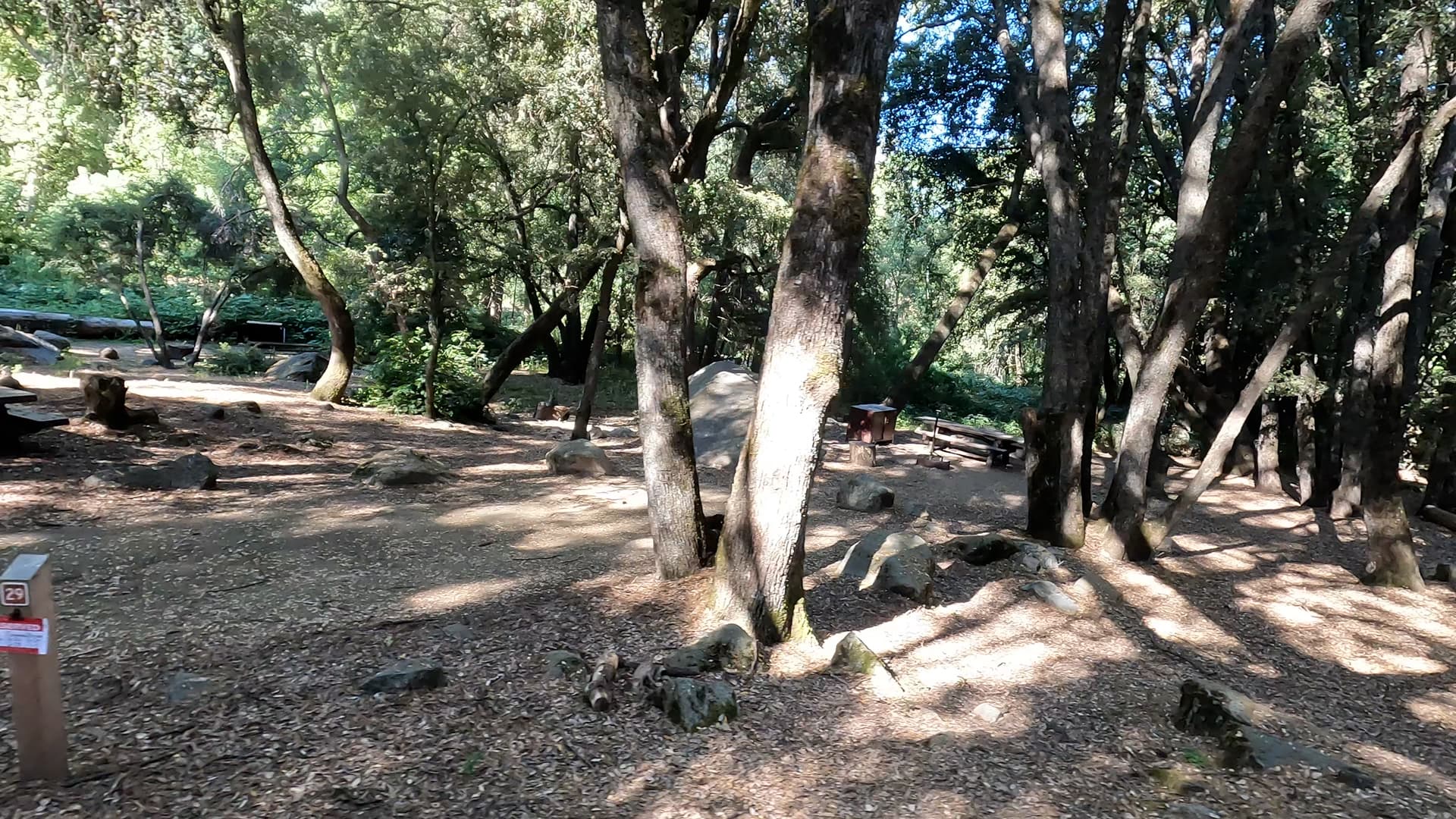 Site 29