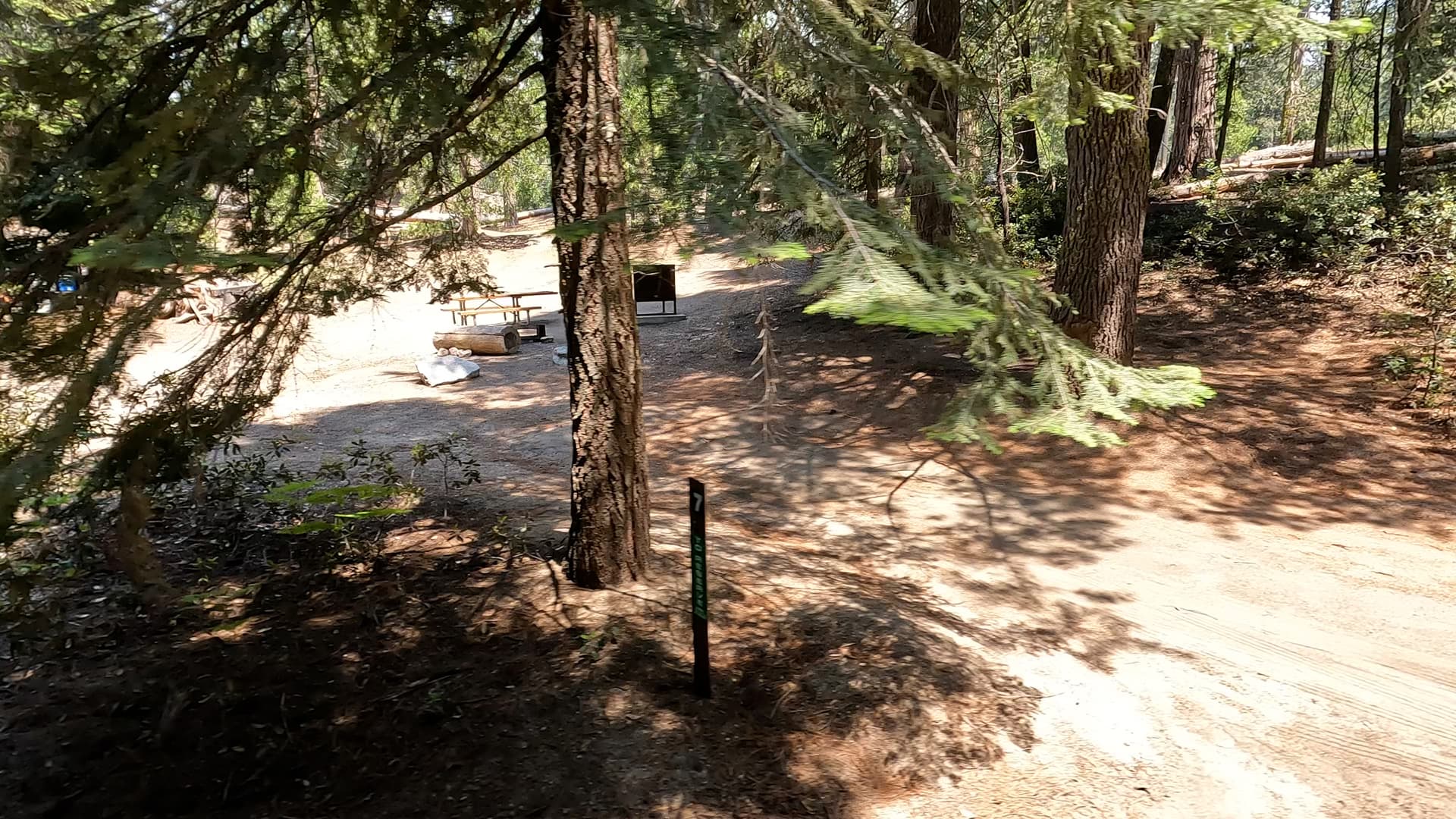 Site 7