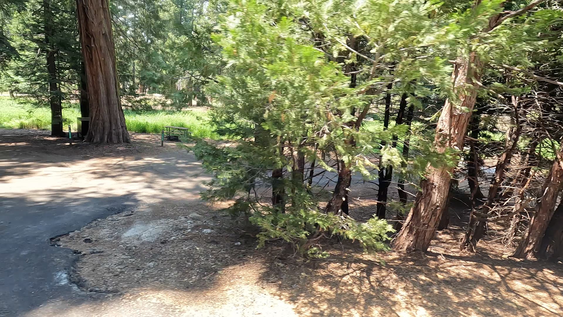 Site 4