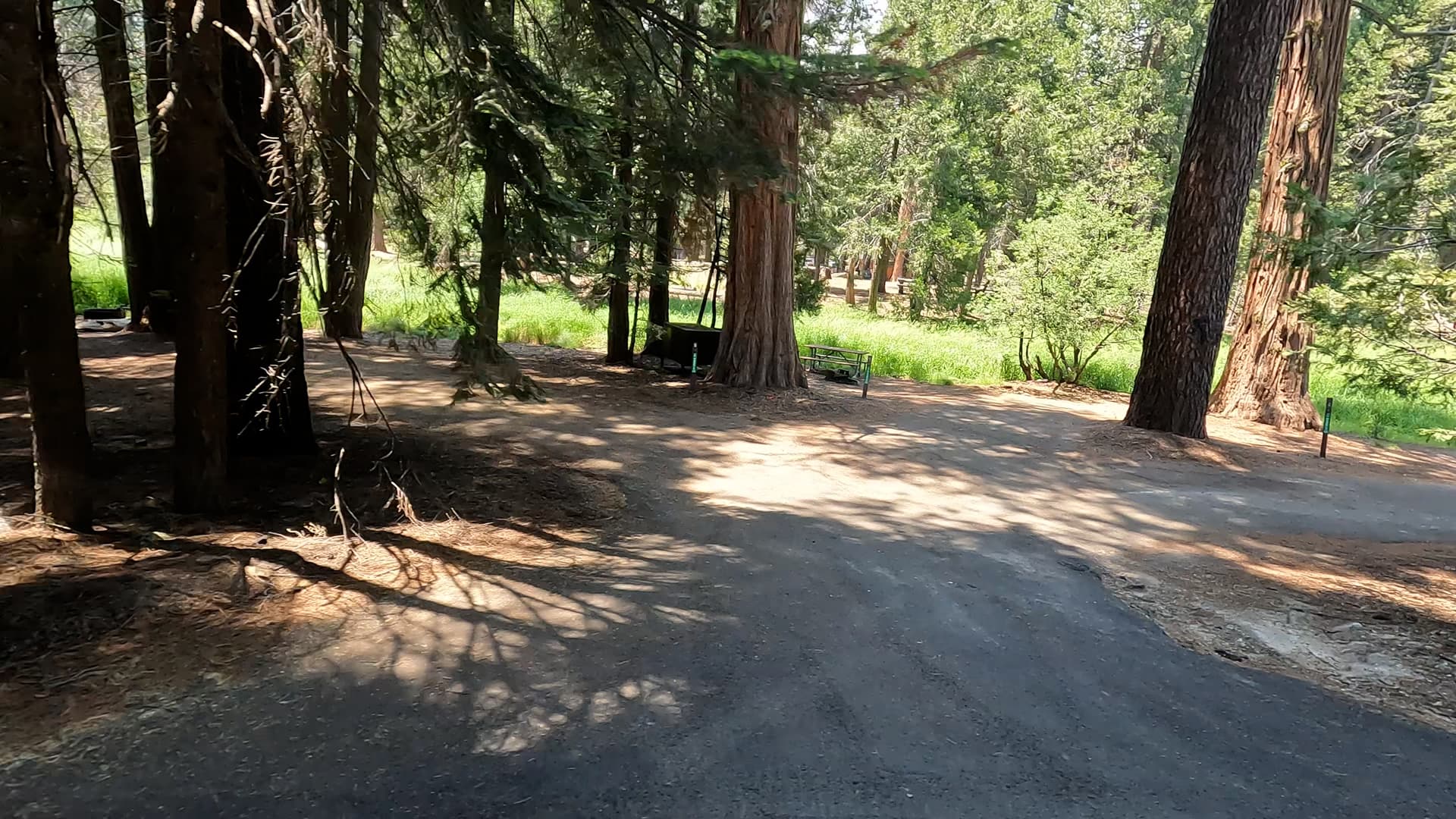 Site 5