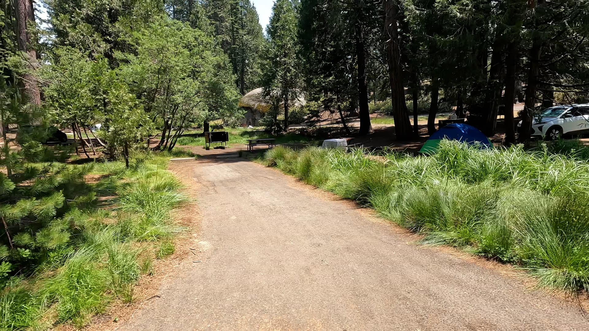 Site 9