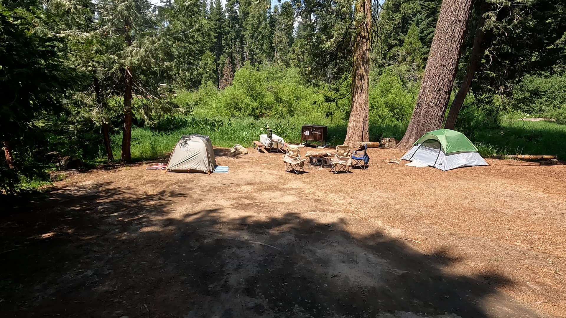 Site 10