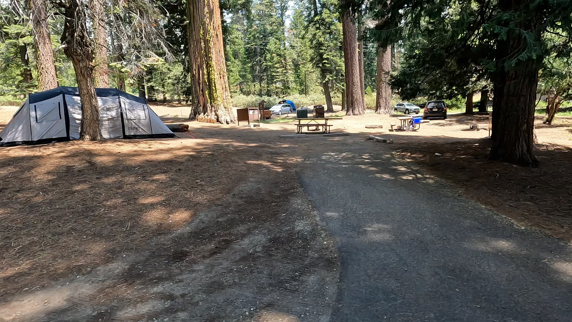 Site 8