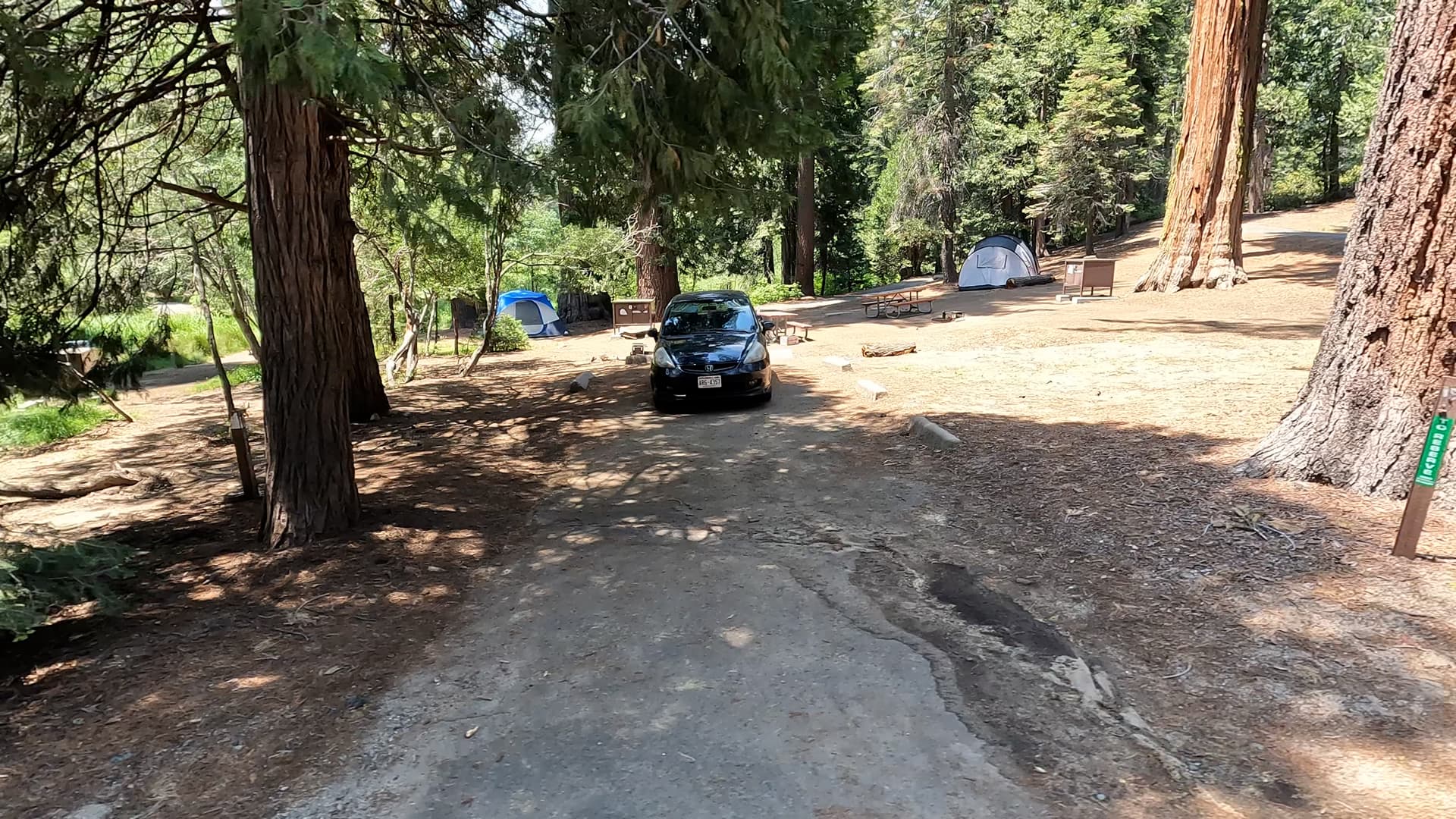 Site 19