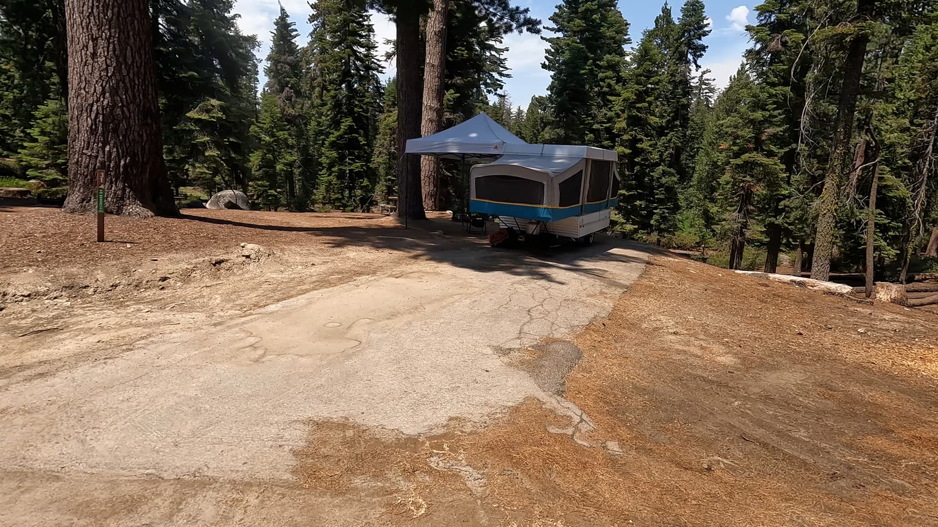 Site 31