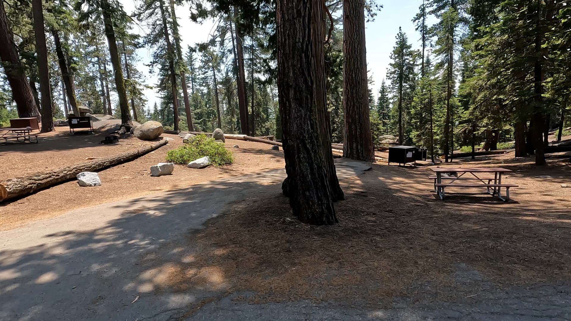 Site 36