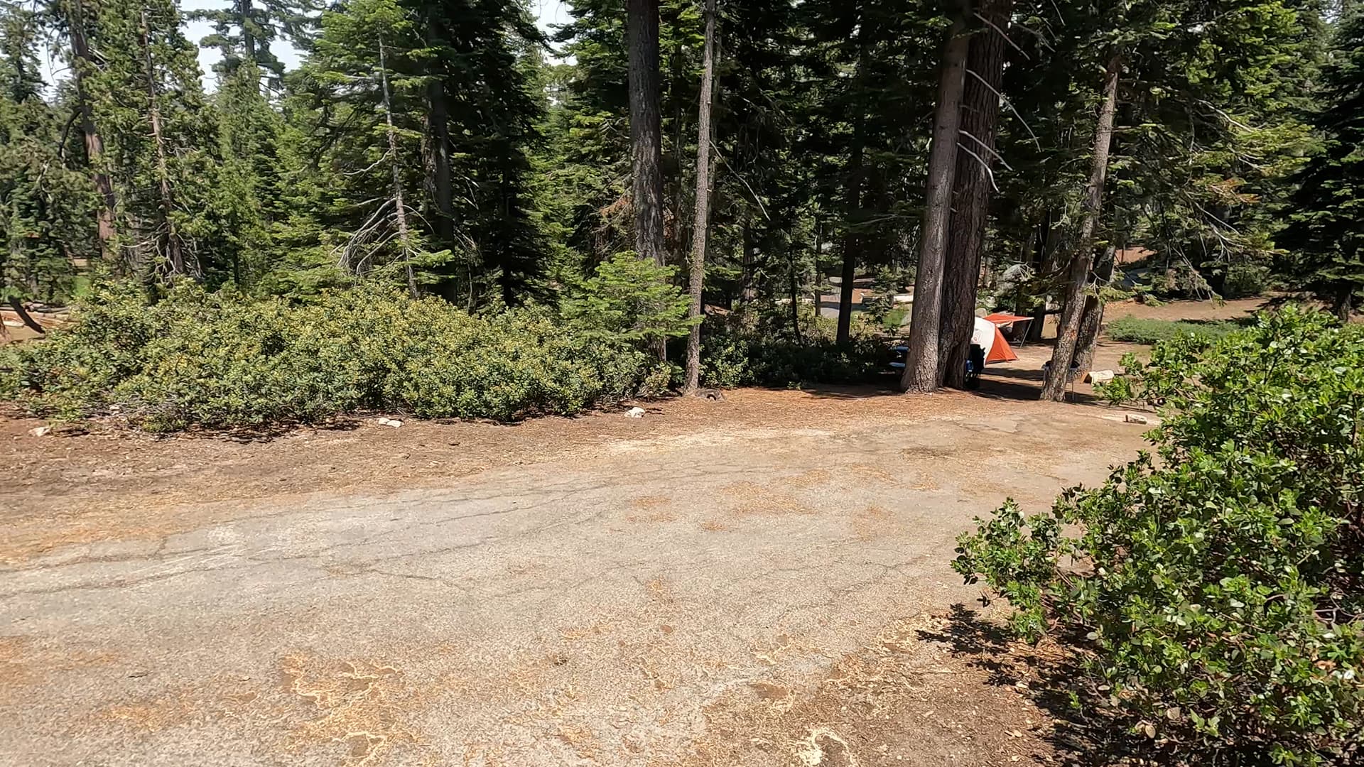 Site 37