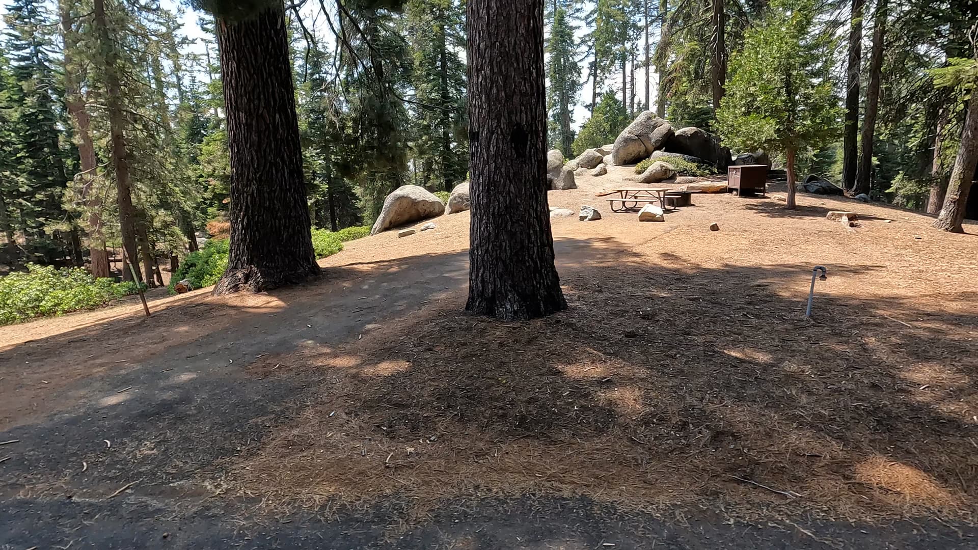Site 40