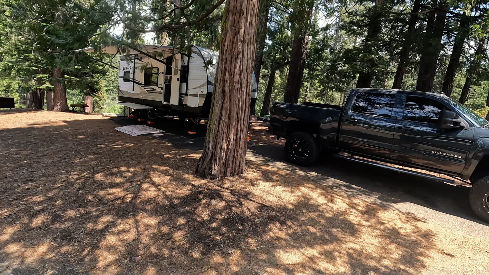 Site 41