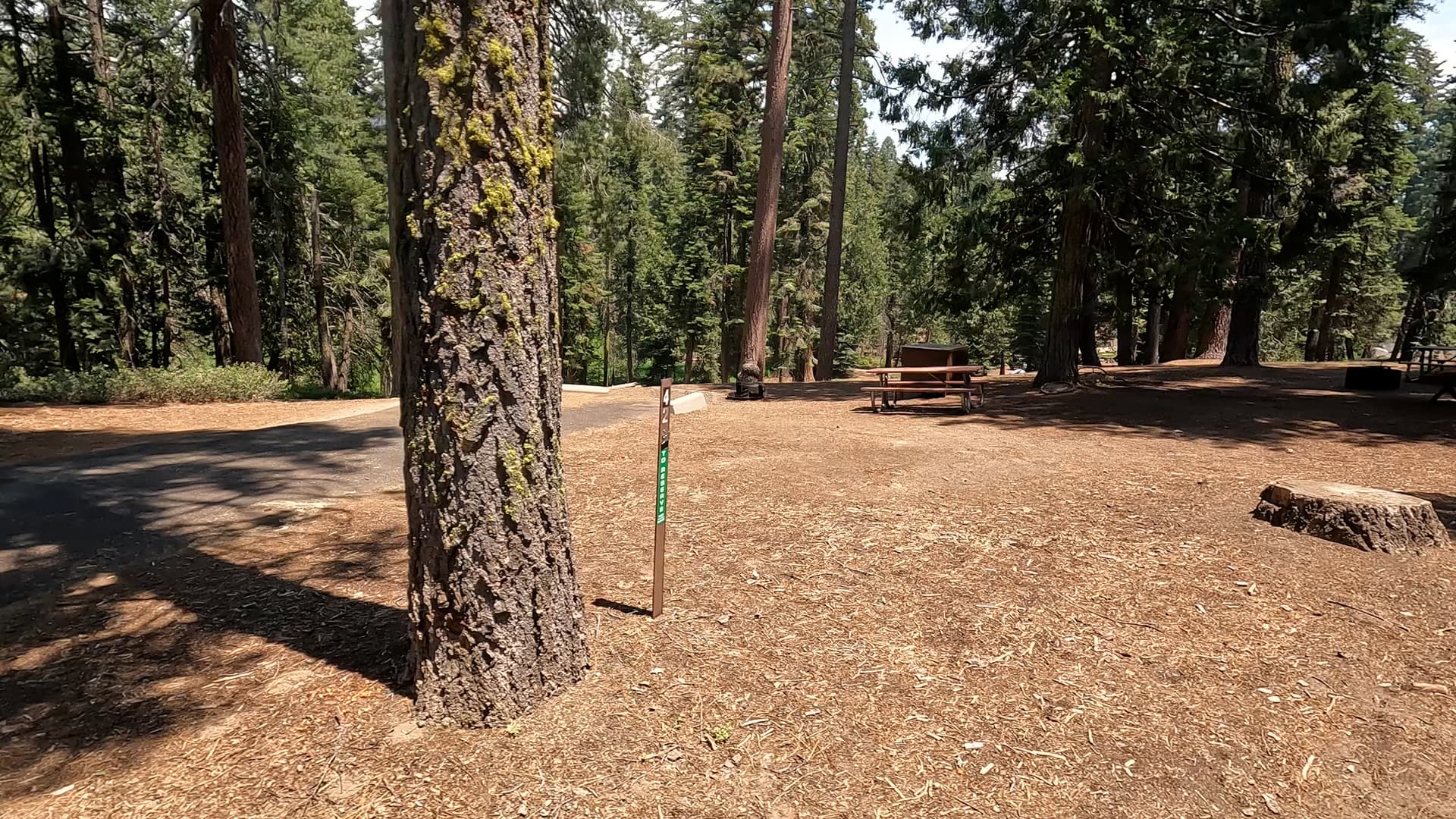 Site 42