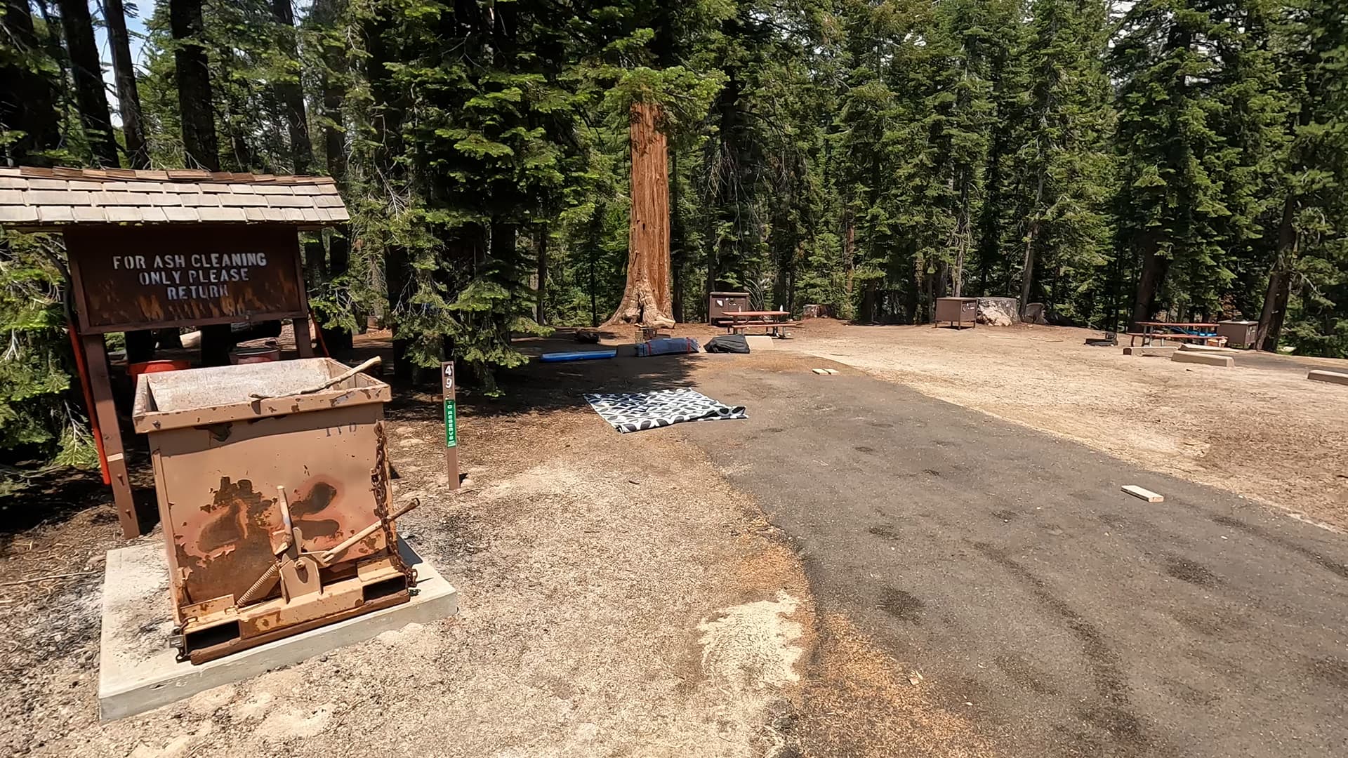 Site 49