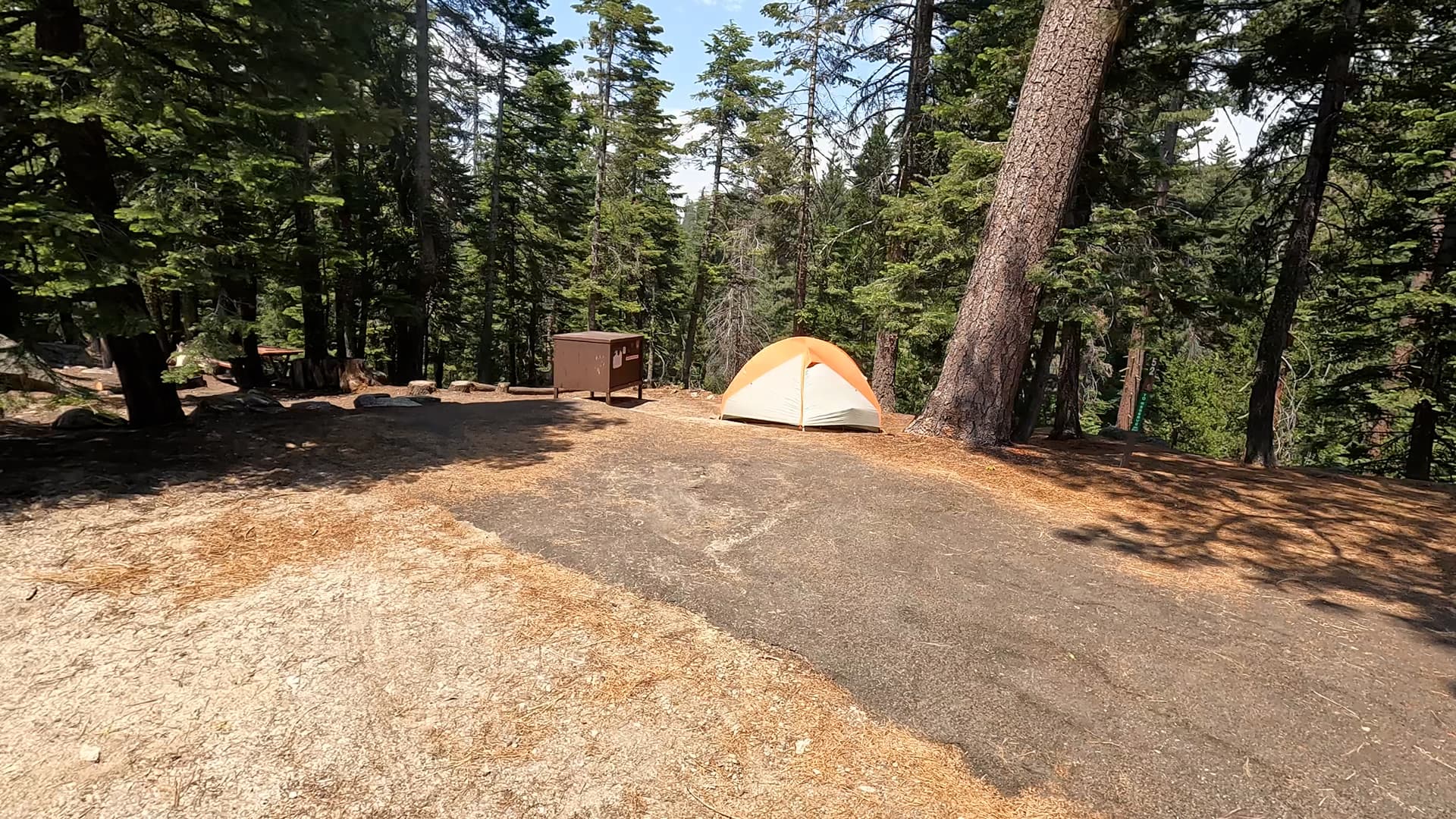 Site 52