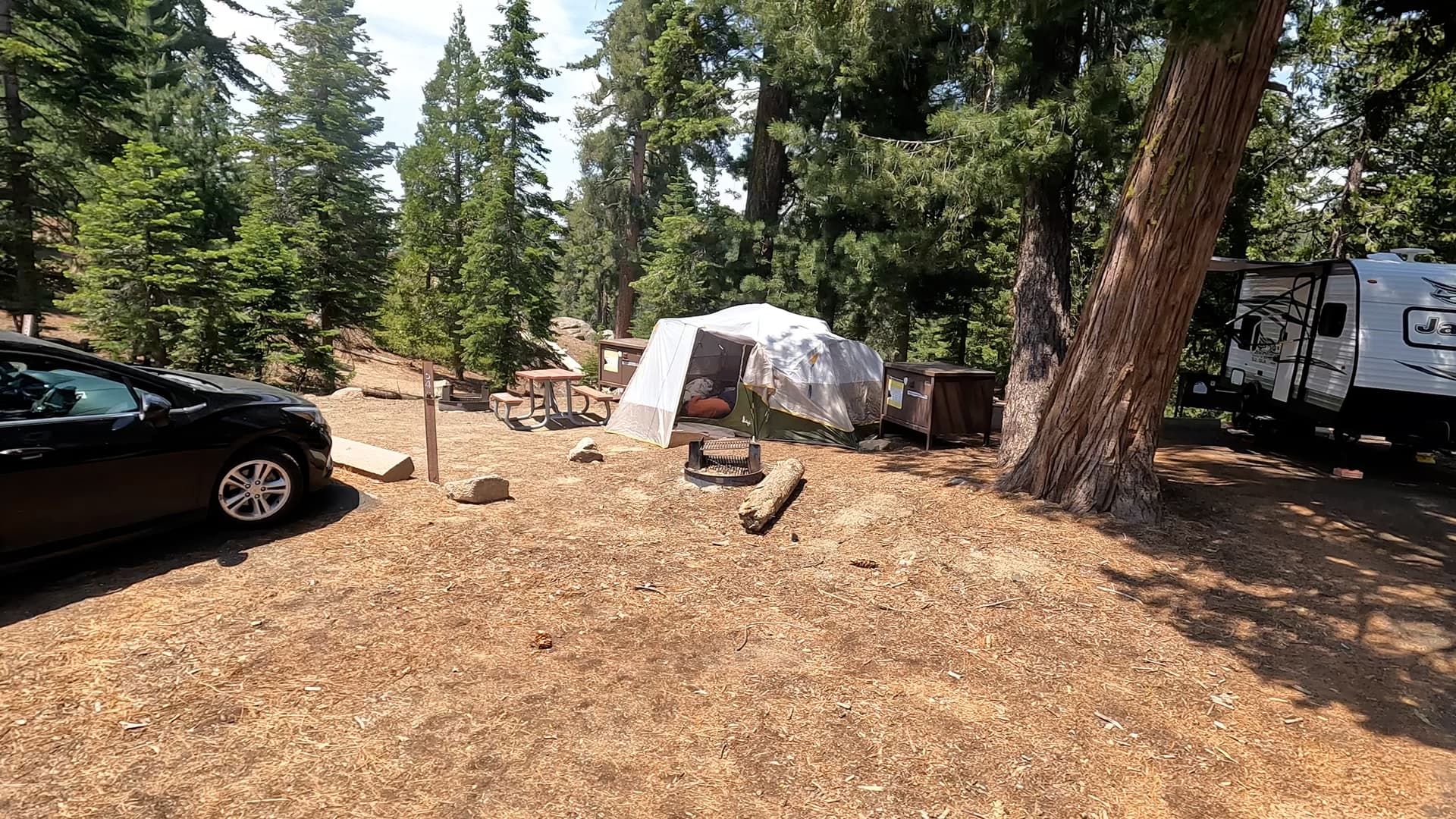 Site 54