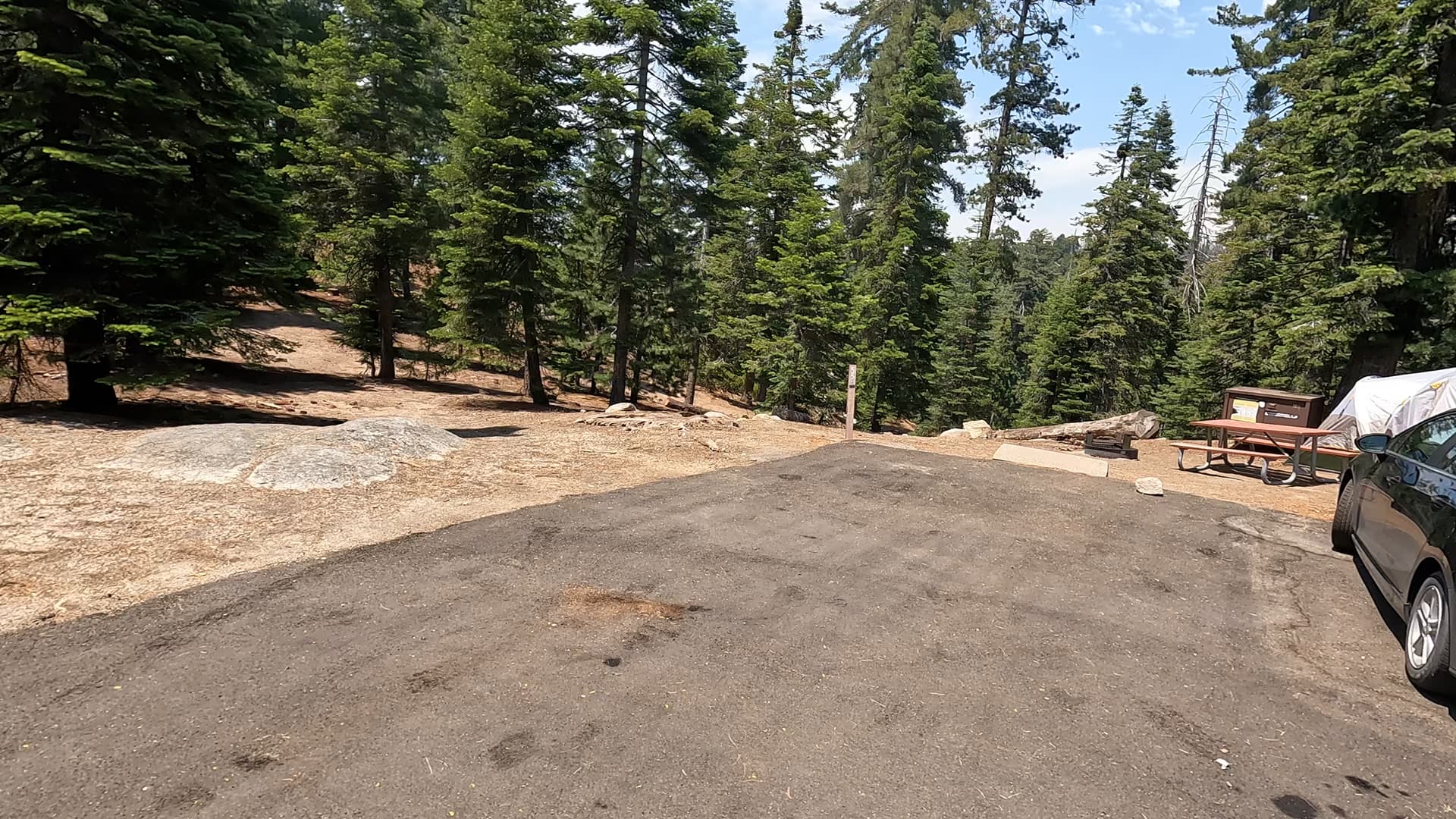 Site 55