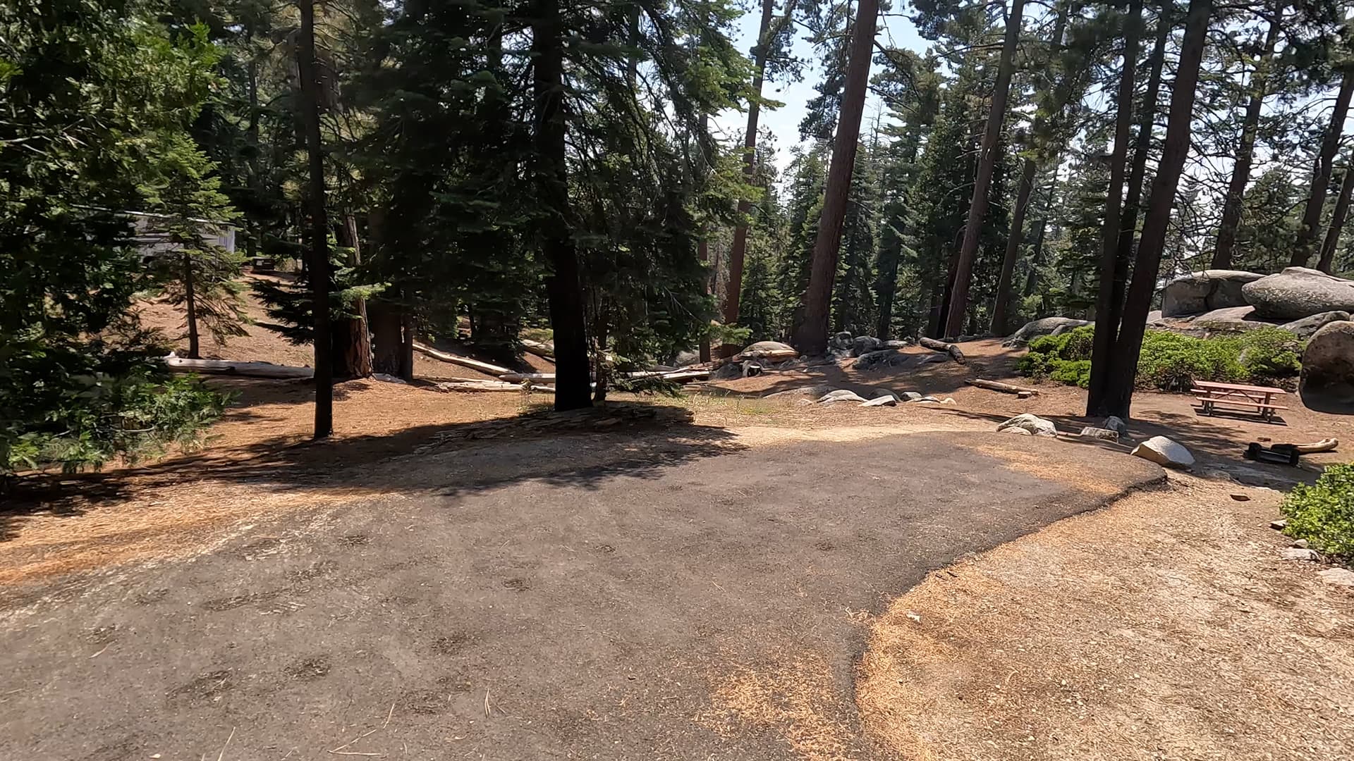 Site 65