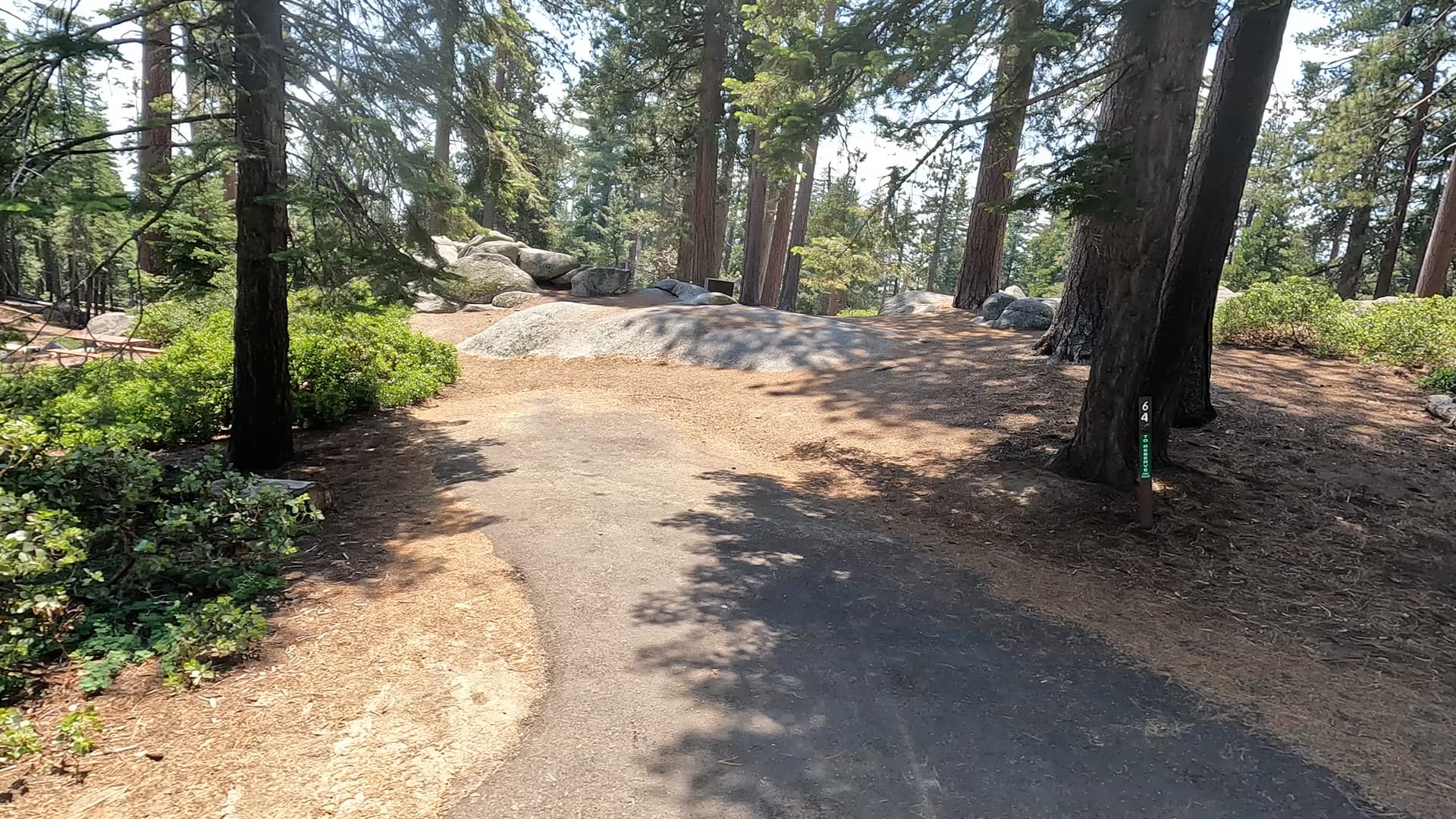 Site 64