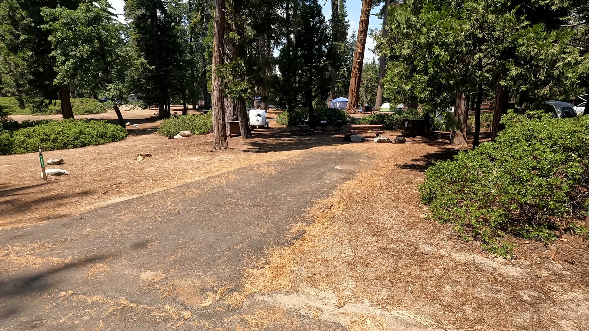 Site 77