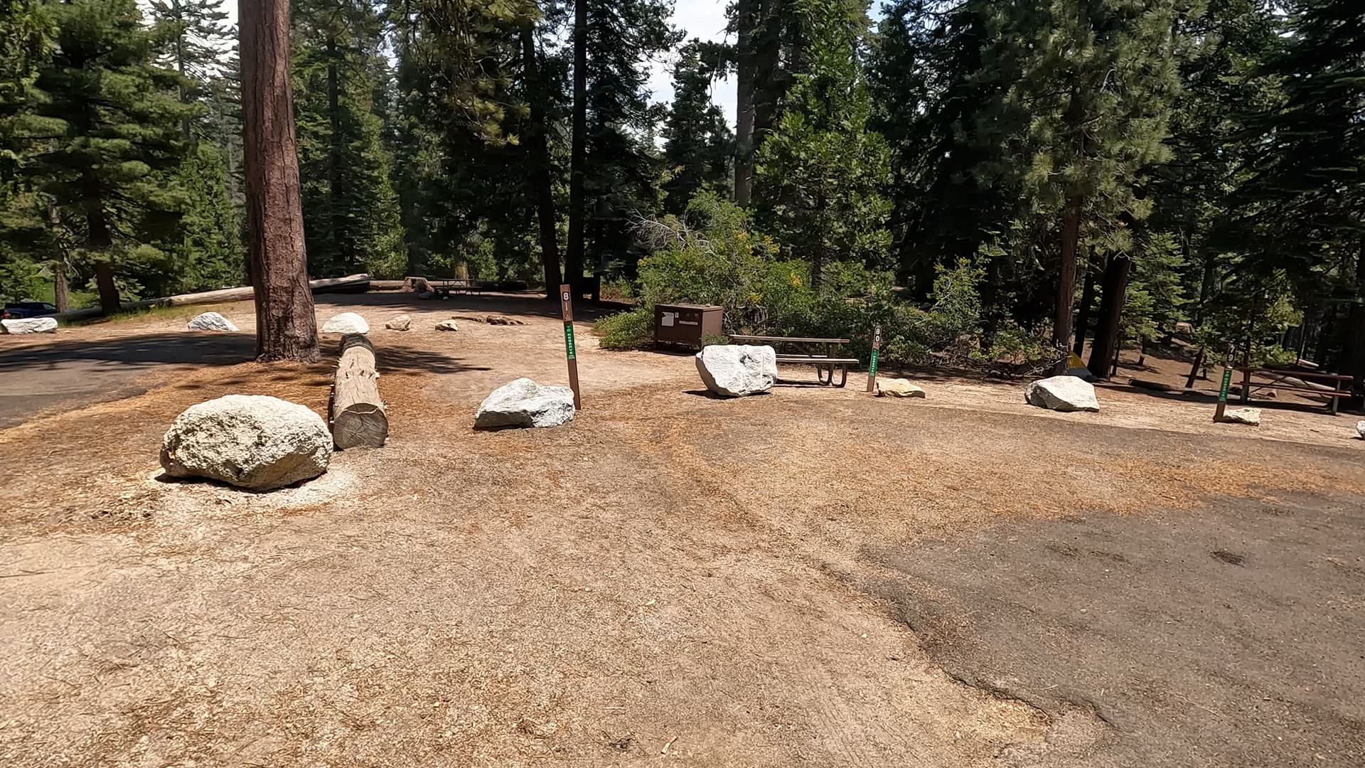 Site 81