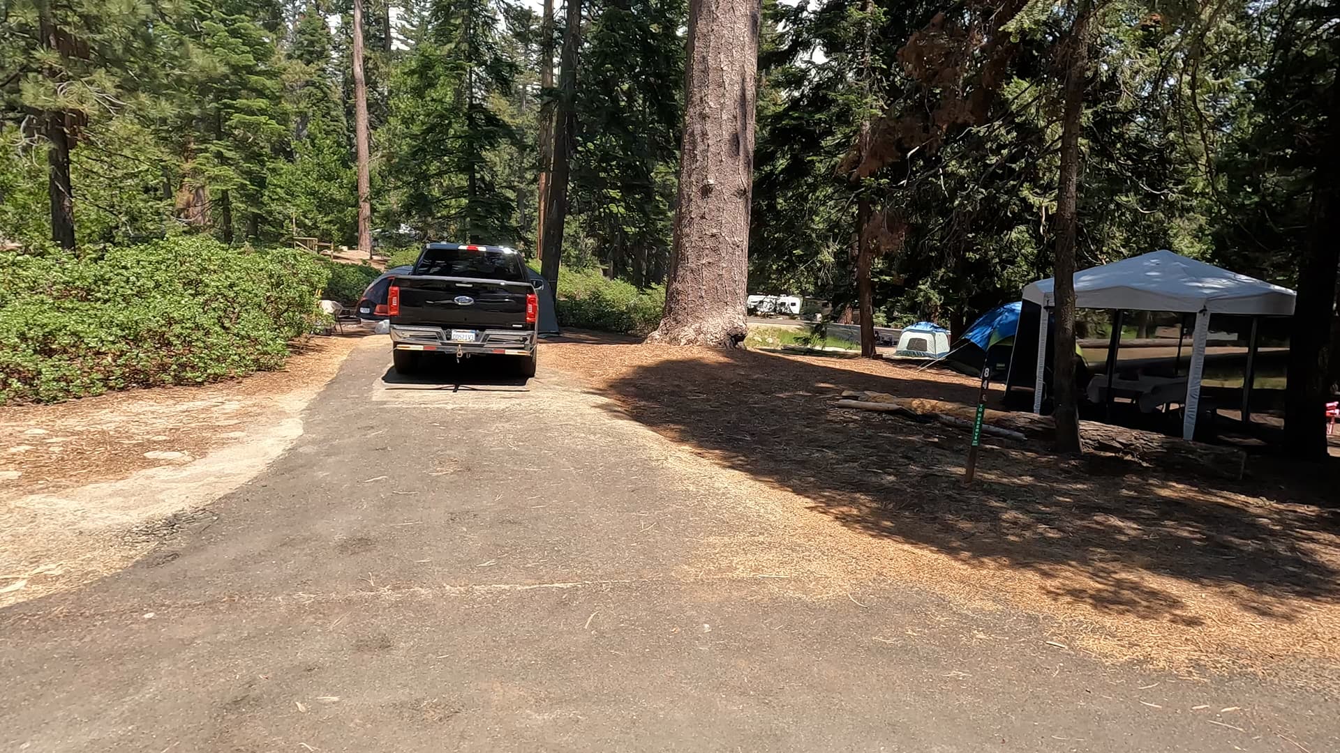 Site 84