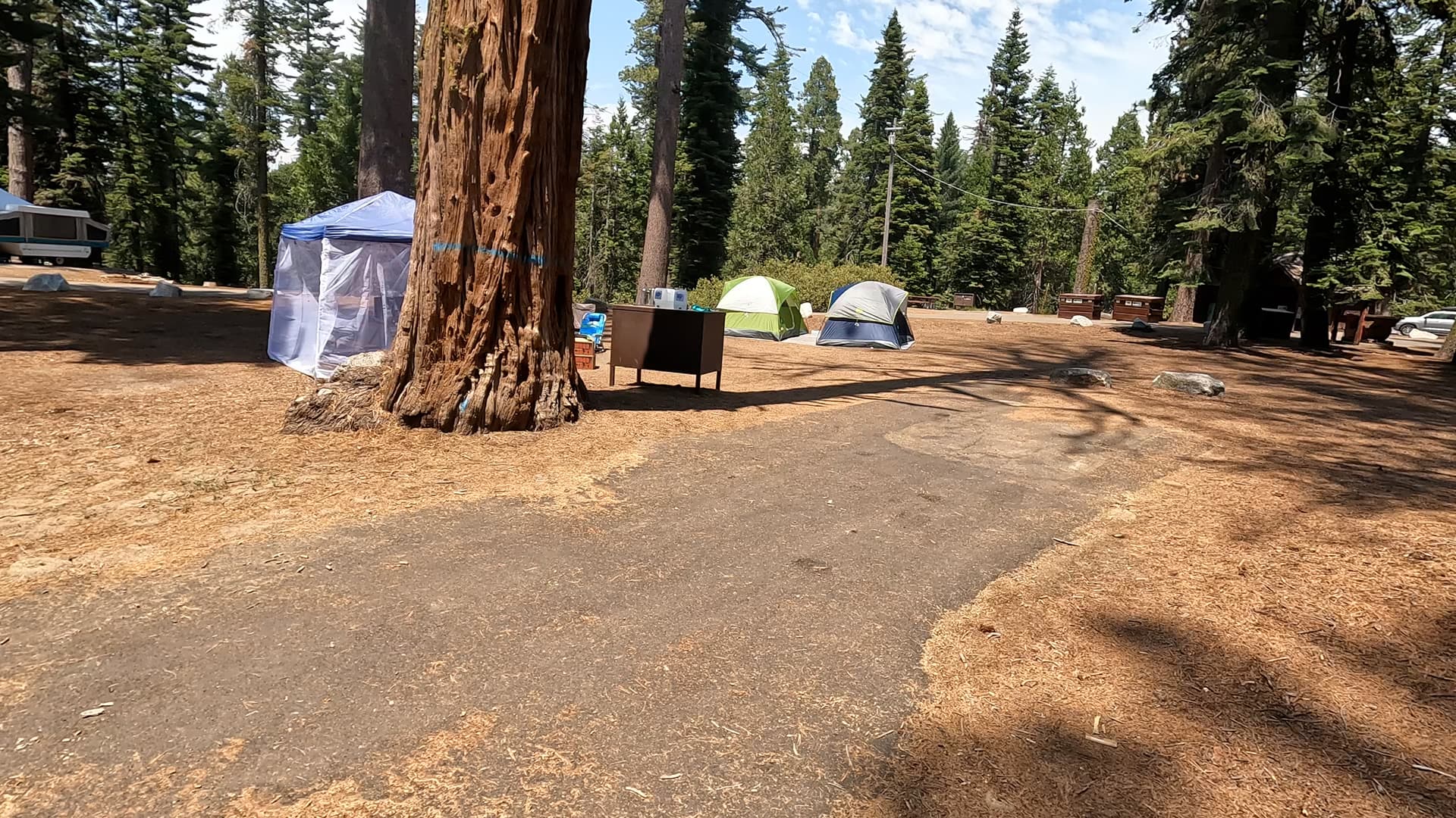 Site 86